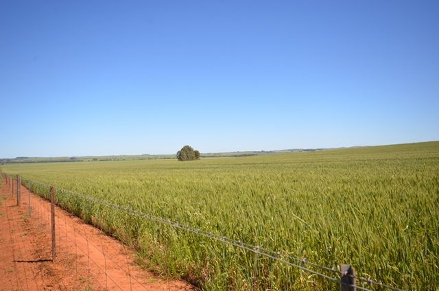 Lots 21-25 94 Sod Hut Road, Farrell Flat SA 5416
