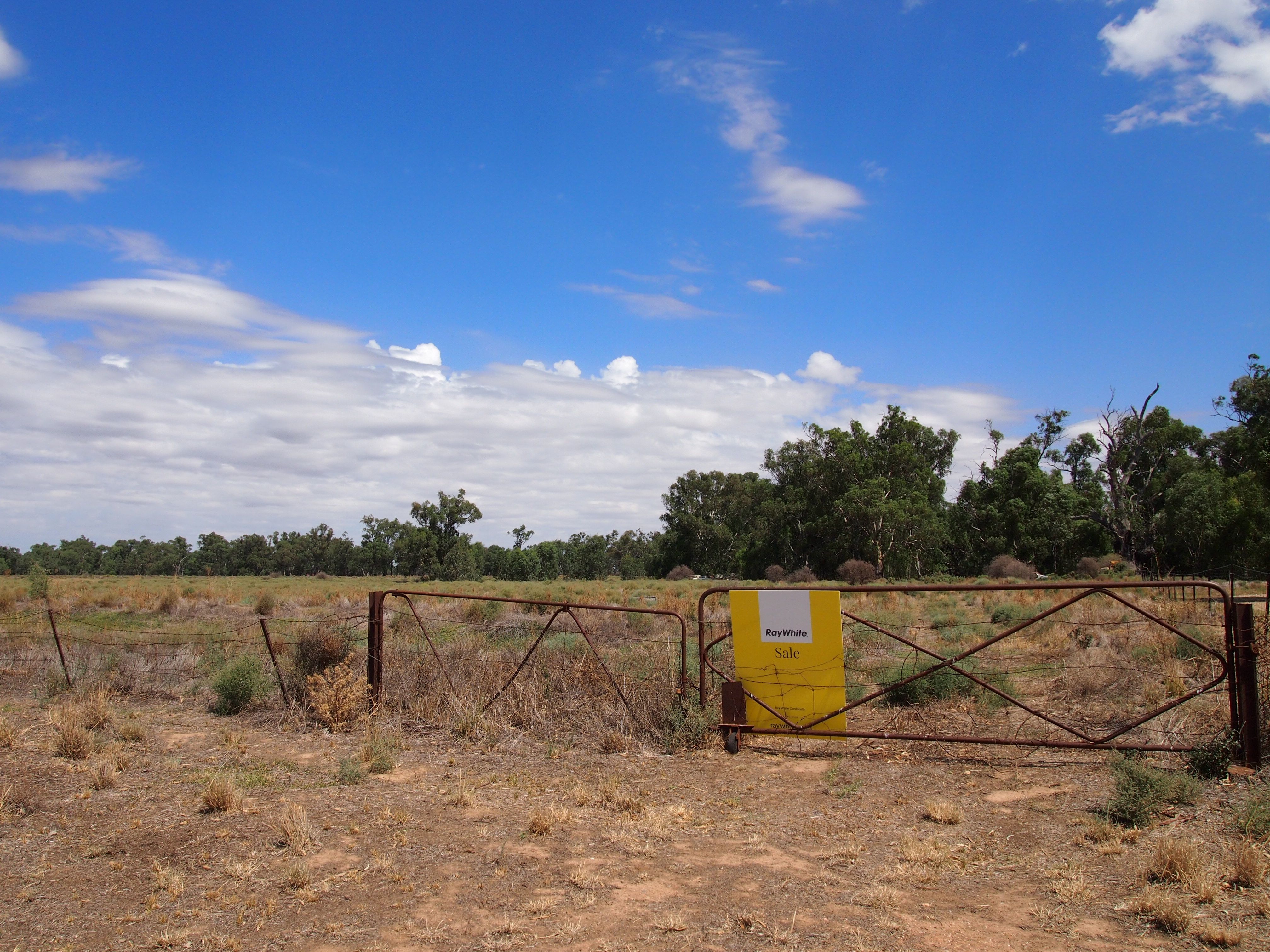 374 North Forbes Road, Condobolin, NSW 2877