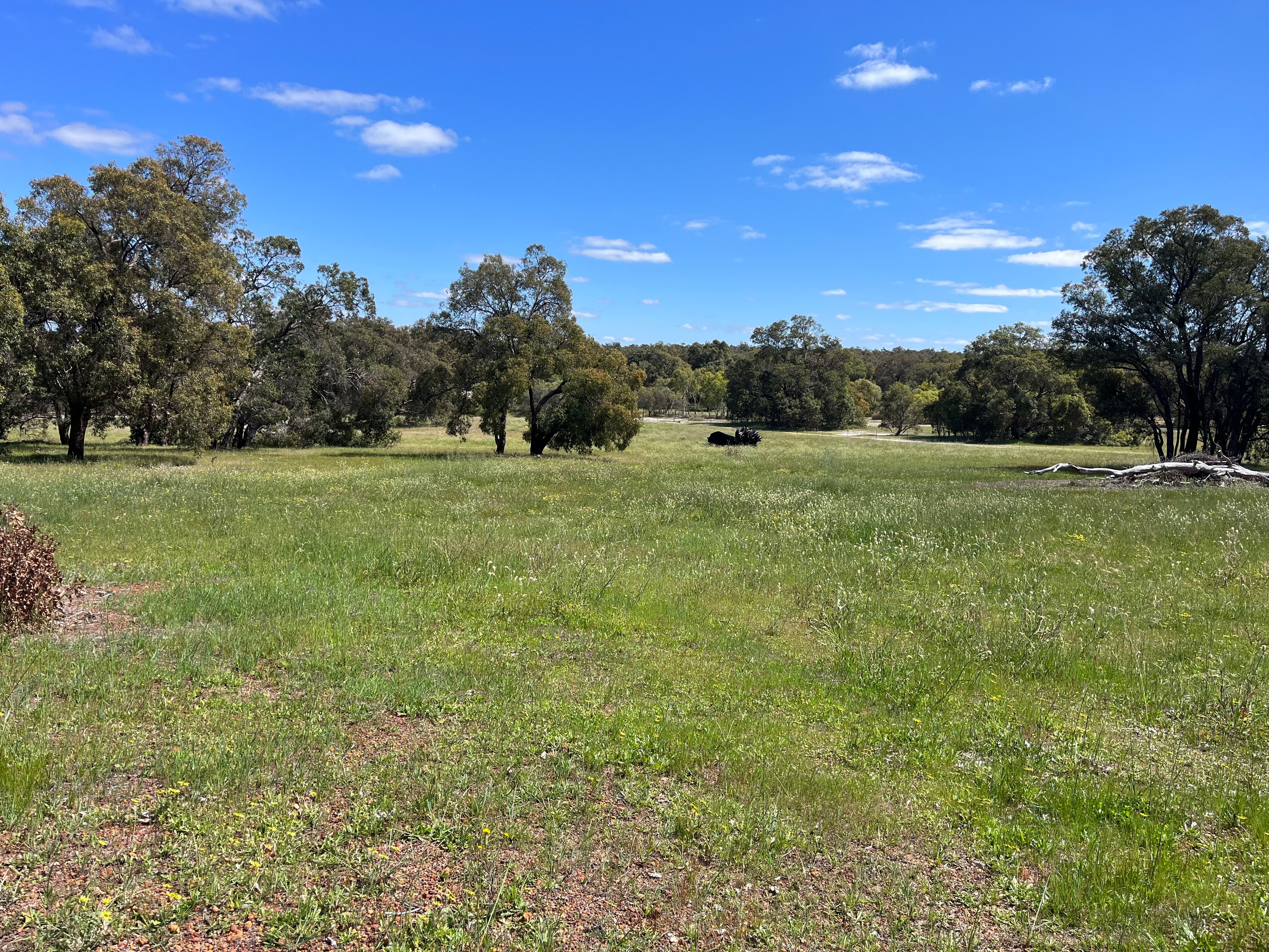 Windemere Way, Bindoon WA 6502