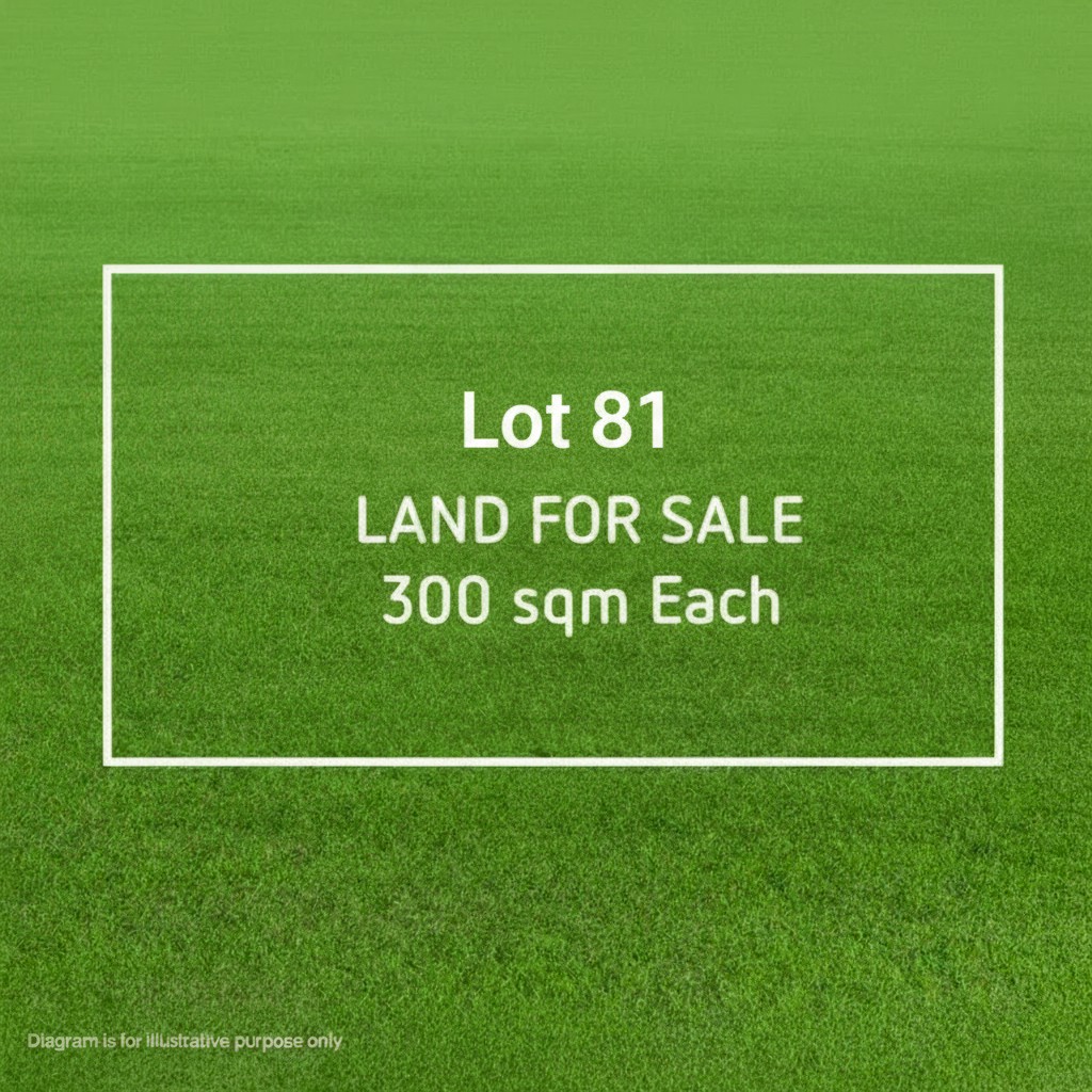 81 Clive Road, ANGUS, NSW 2765