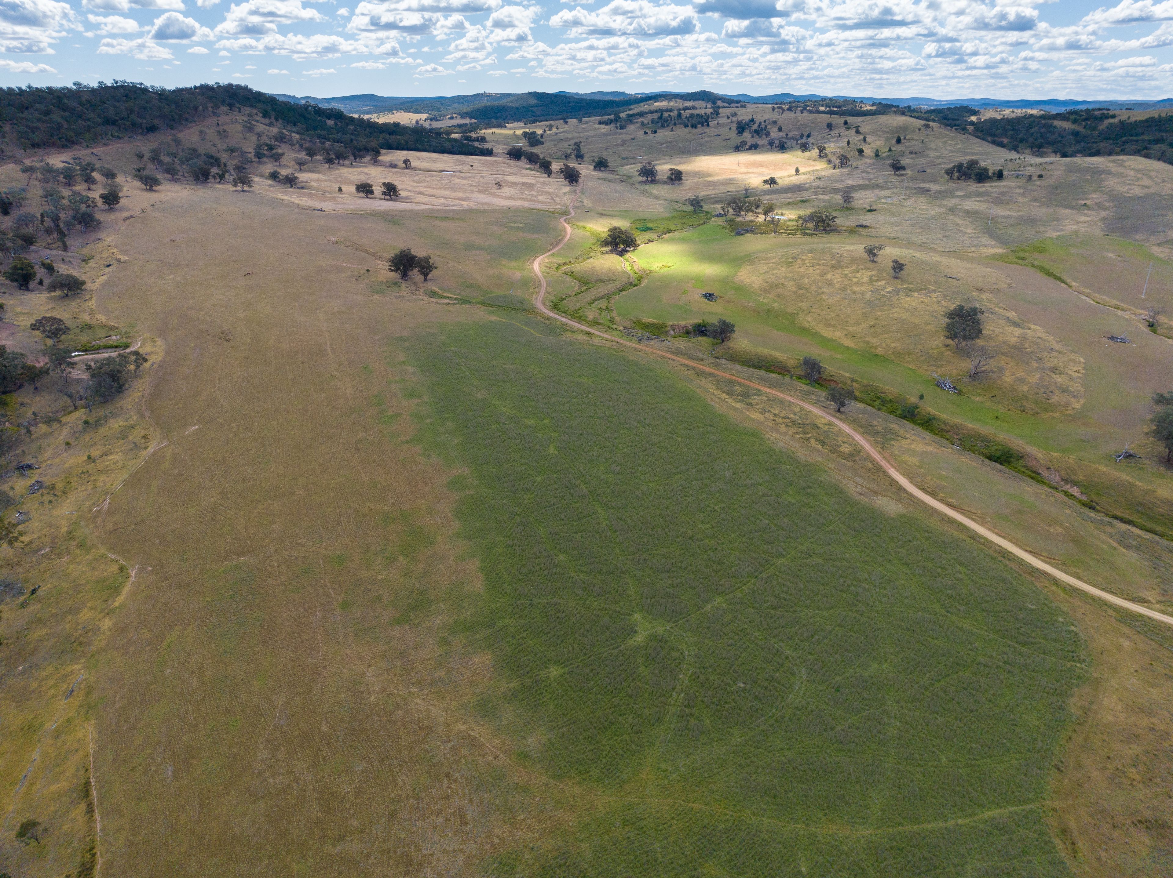 "Araluen" "Araluen" 273 McLachlans Road, Manildra, NSW 2865 Rural