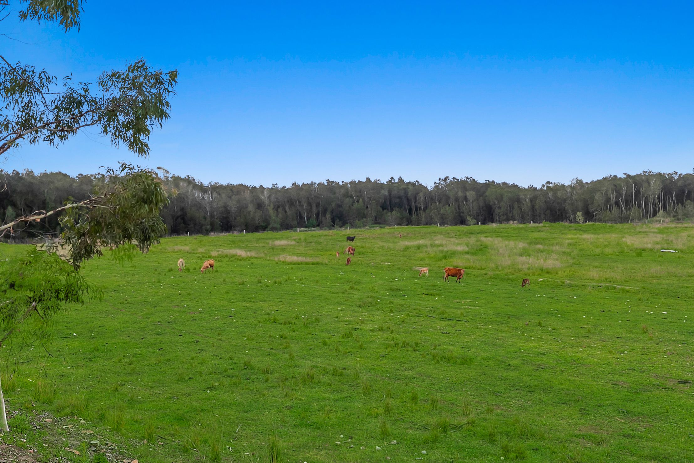 25 Sunray Parade, Griffin, QLD 4503