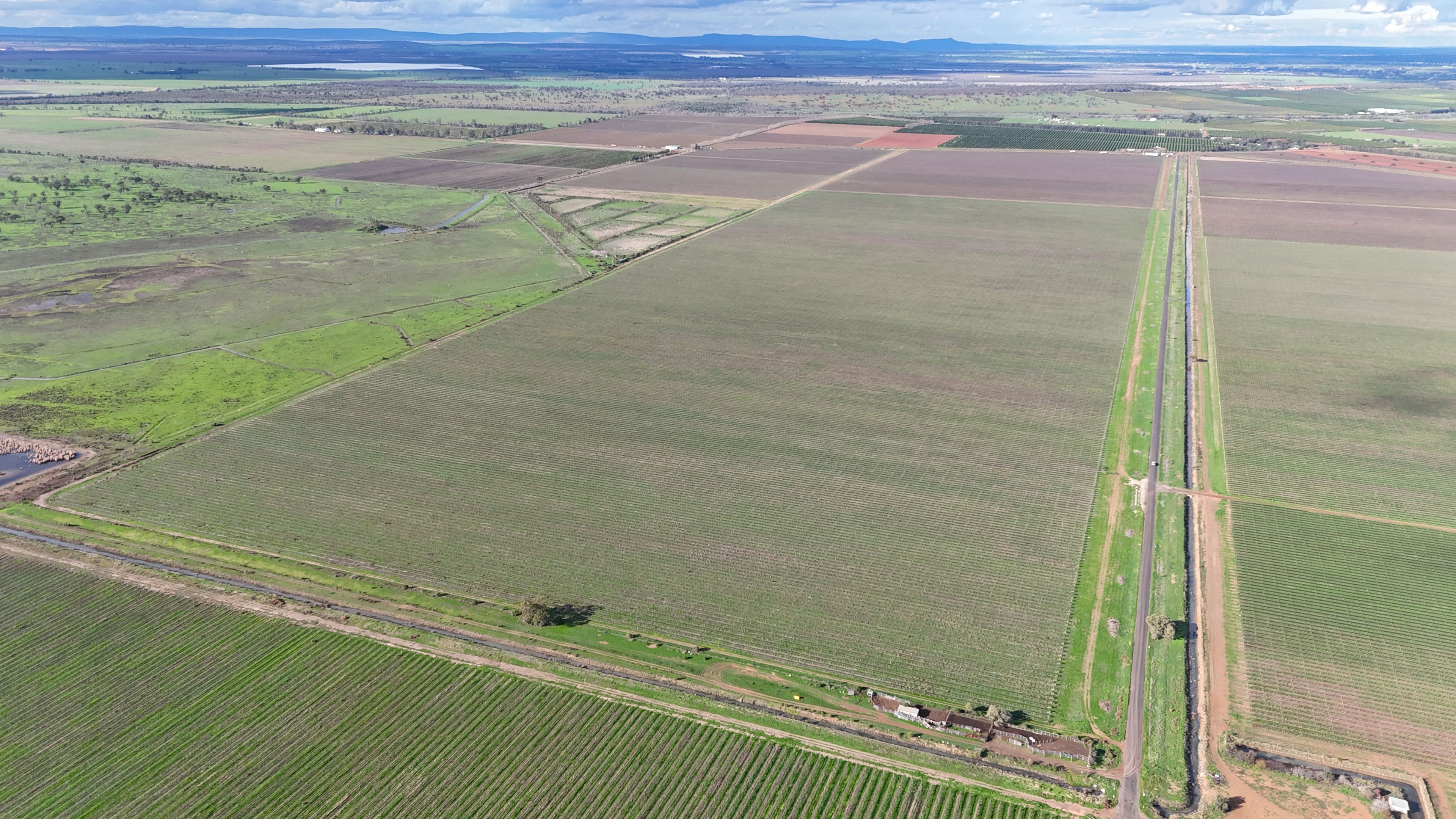 White Road Vineyard Aggregation — photo 3 of 11