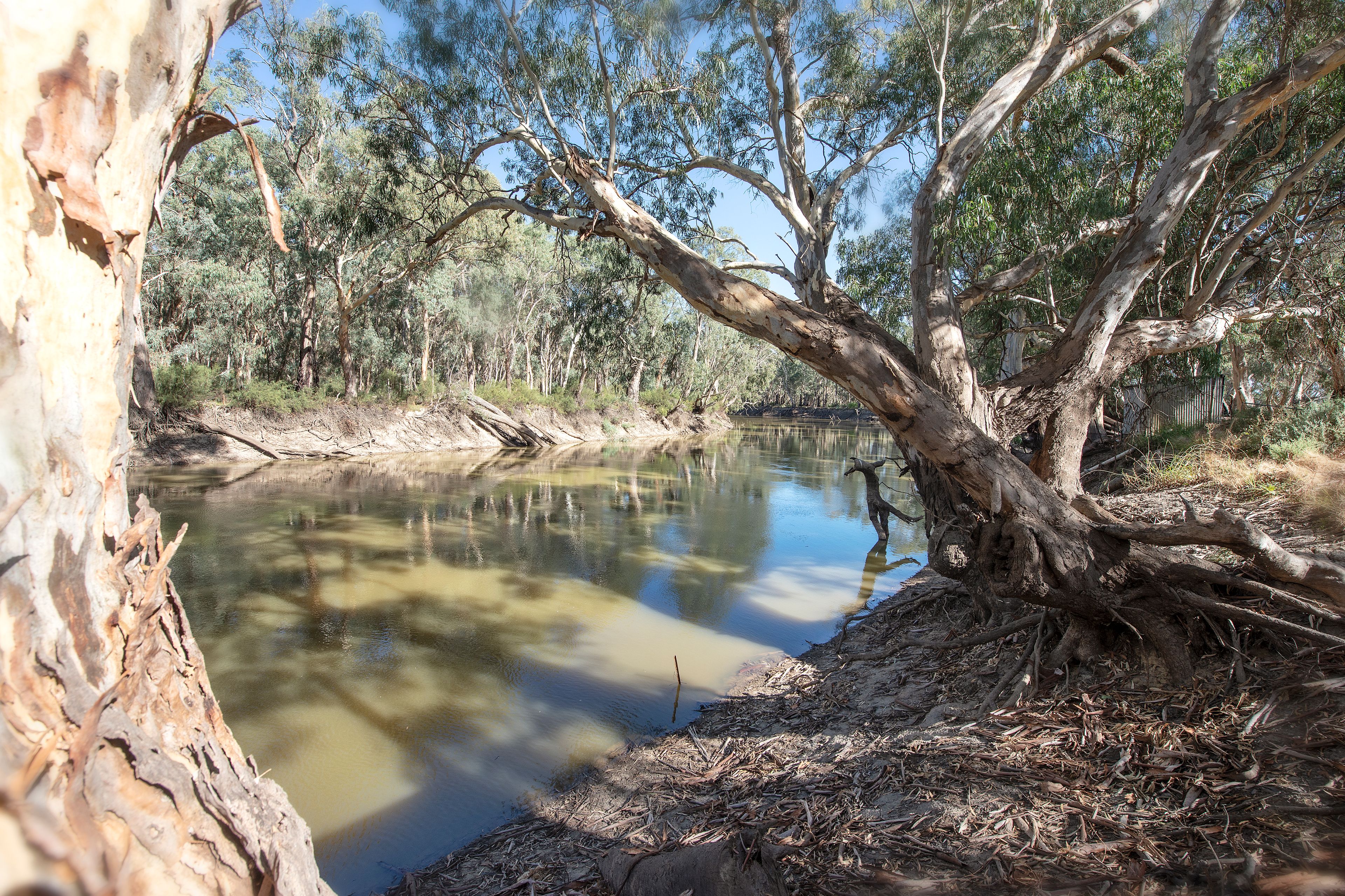767 Koraleigh Road, Koraleigh, NSW 2735 Sold Rural Lifestyle Property