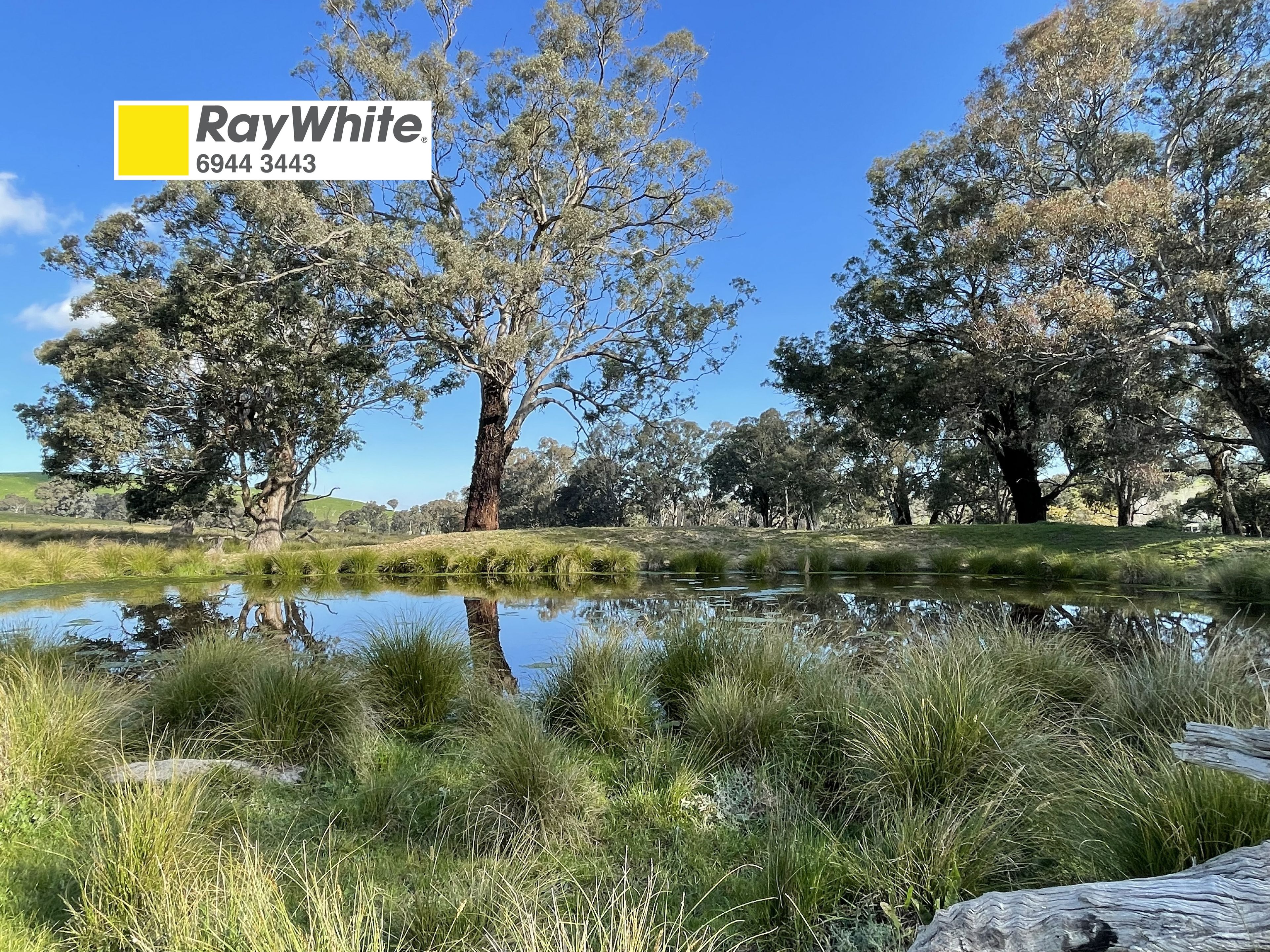 149 Long Tunnel Road — photo from Ray White Tumut