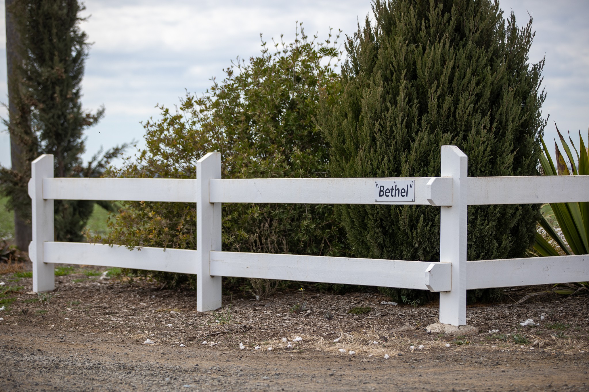 "Bethel" 575 Millmerran-Leyburn Road, Yandilla, QLD 4352