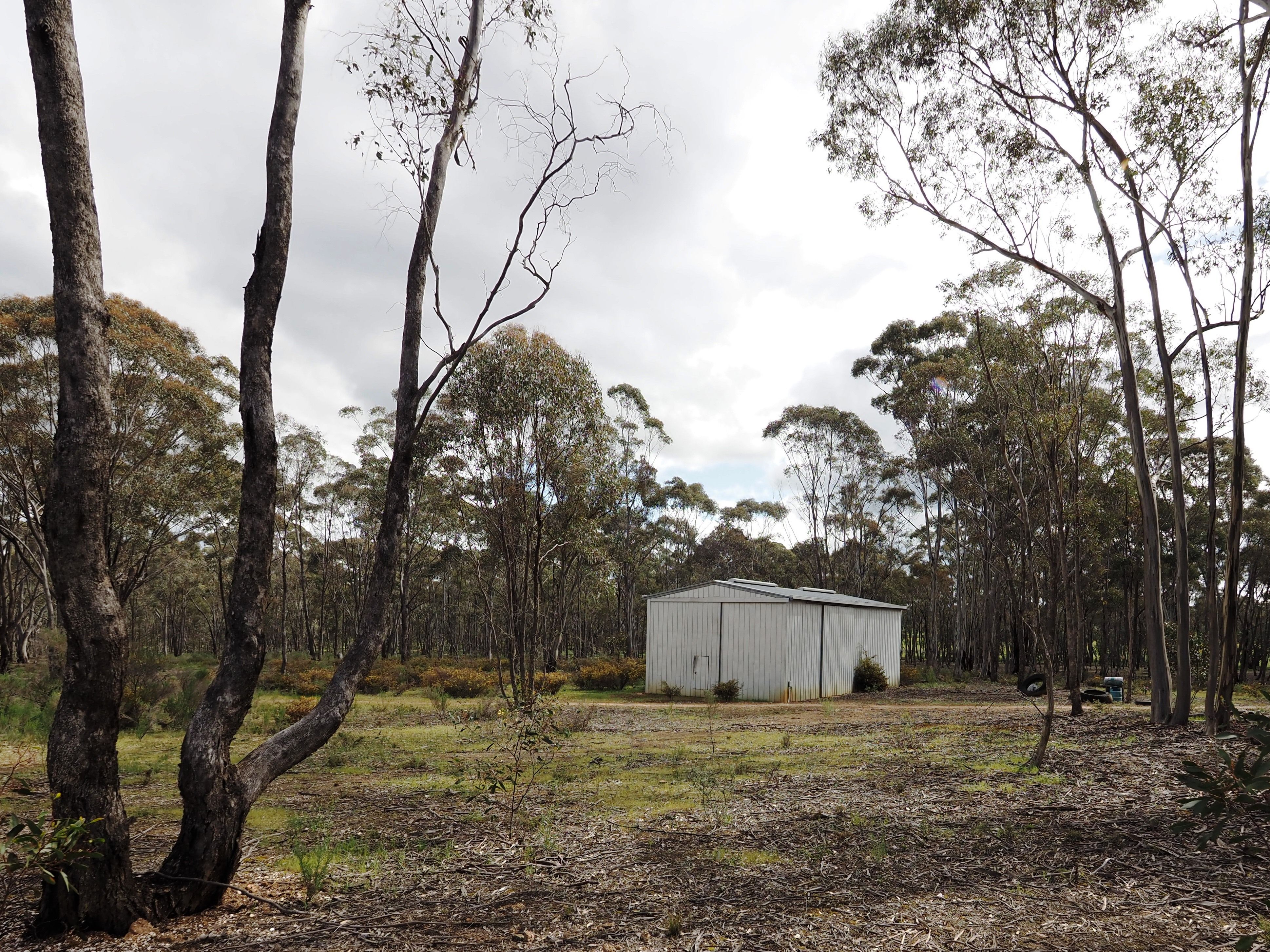 805 Avoca Road, Amherst, VIC 3371
