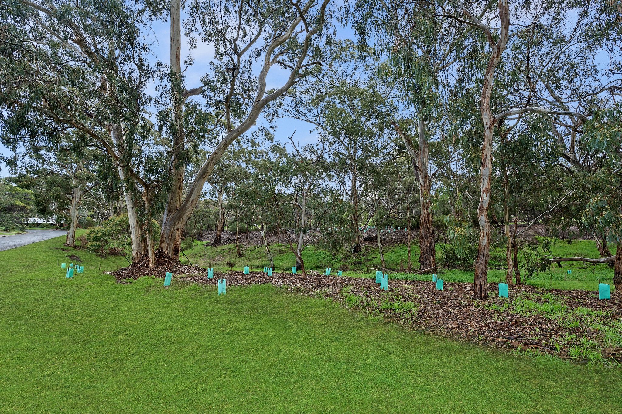 2 Birkdale Close — photo 2 of 24