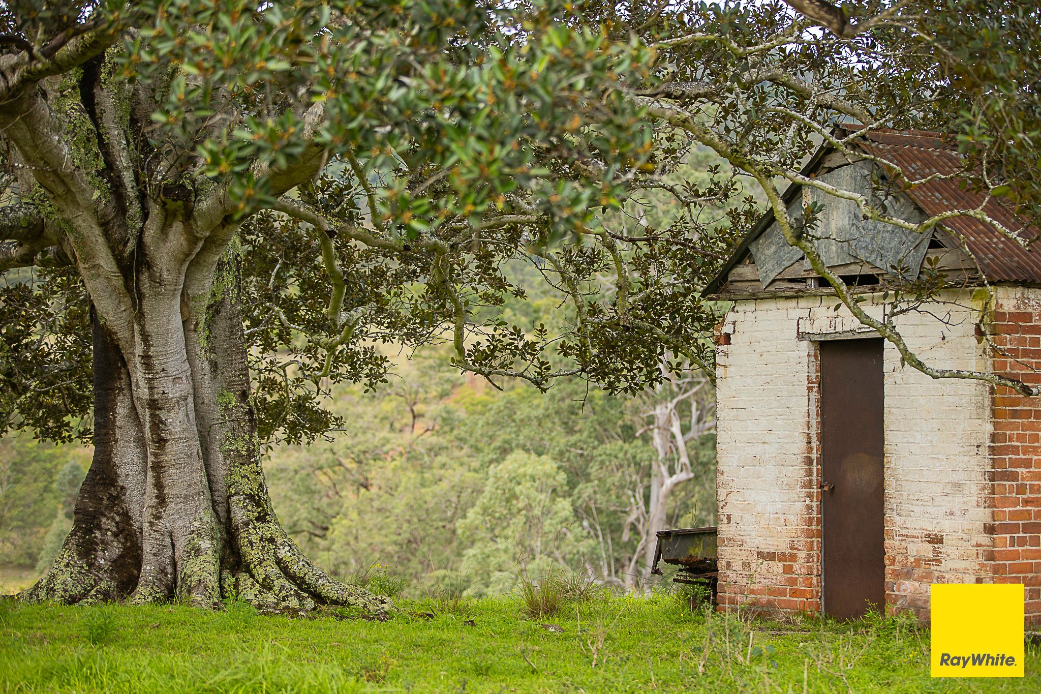 260 Dog Trap Creek Road, Bingleburra, NSW 2311