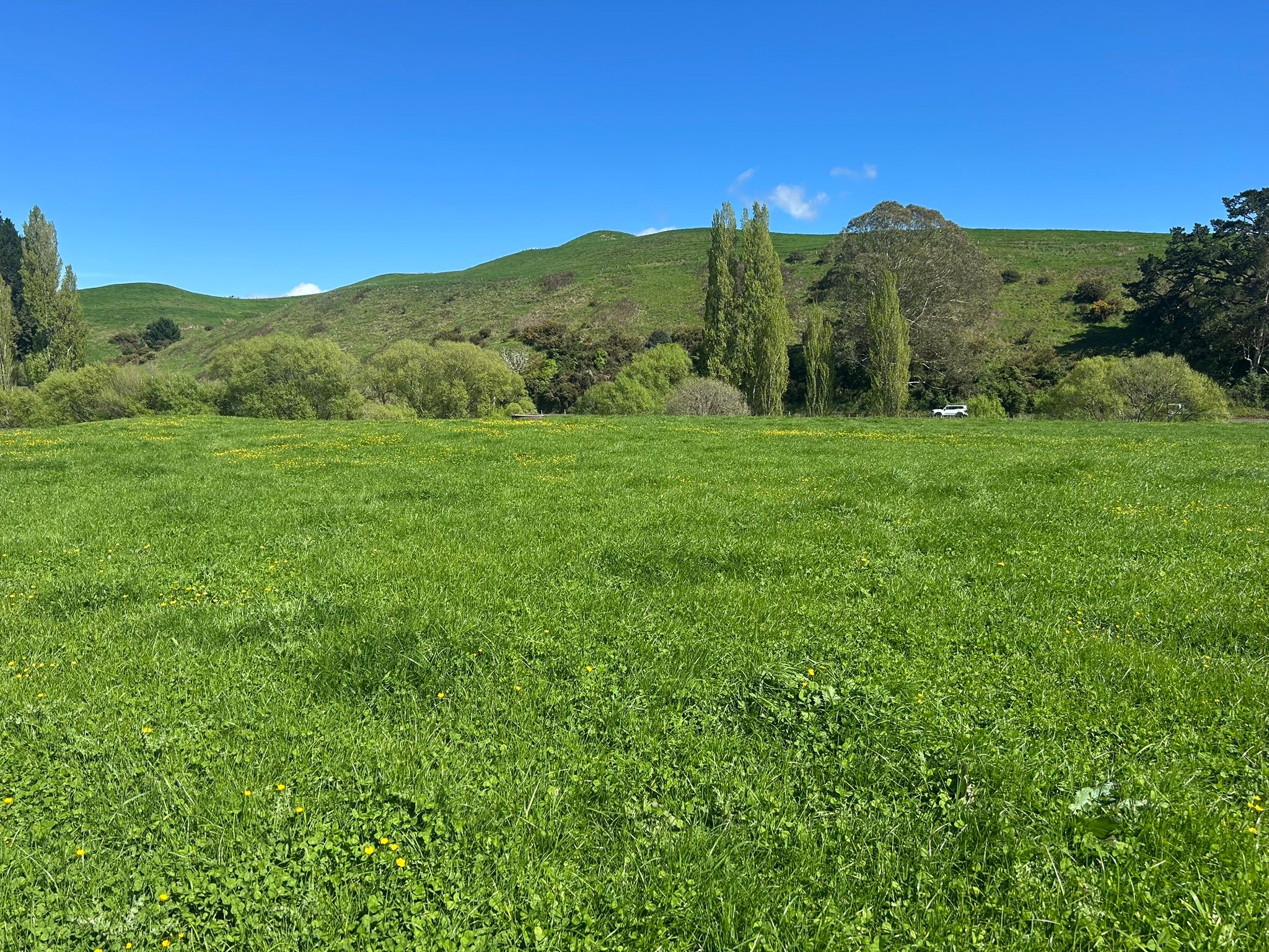 Lot 2, 51 Kiwi Road, Pirongia, Waipa District