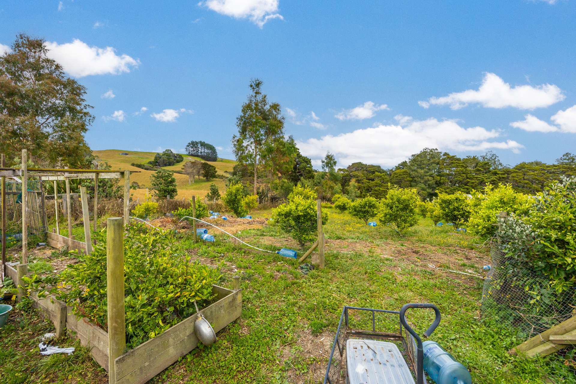 648 West Coast Road photo 14