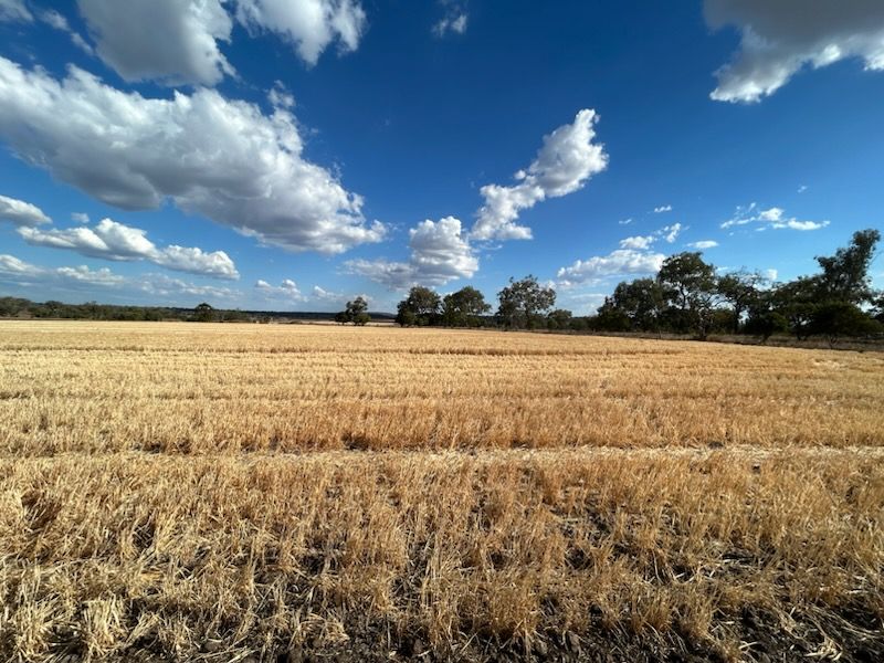 Lot 1 & 2/768 OakeyPittsworth Road, Aubigny, QLD 4401 Rural Cropping