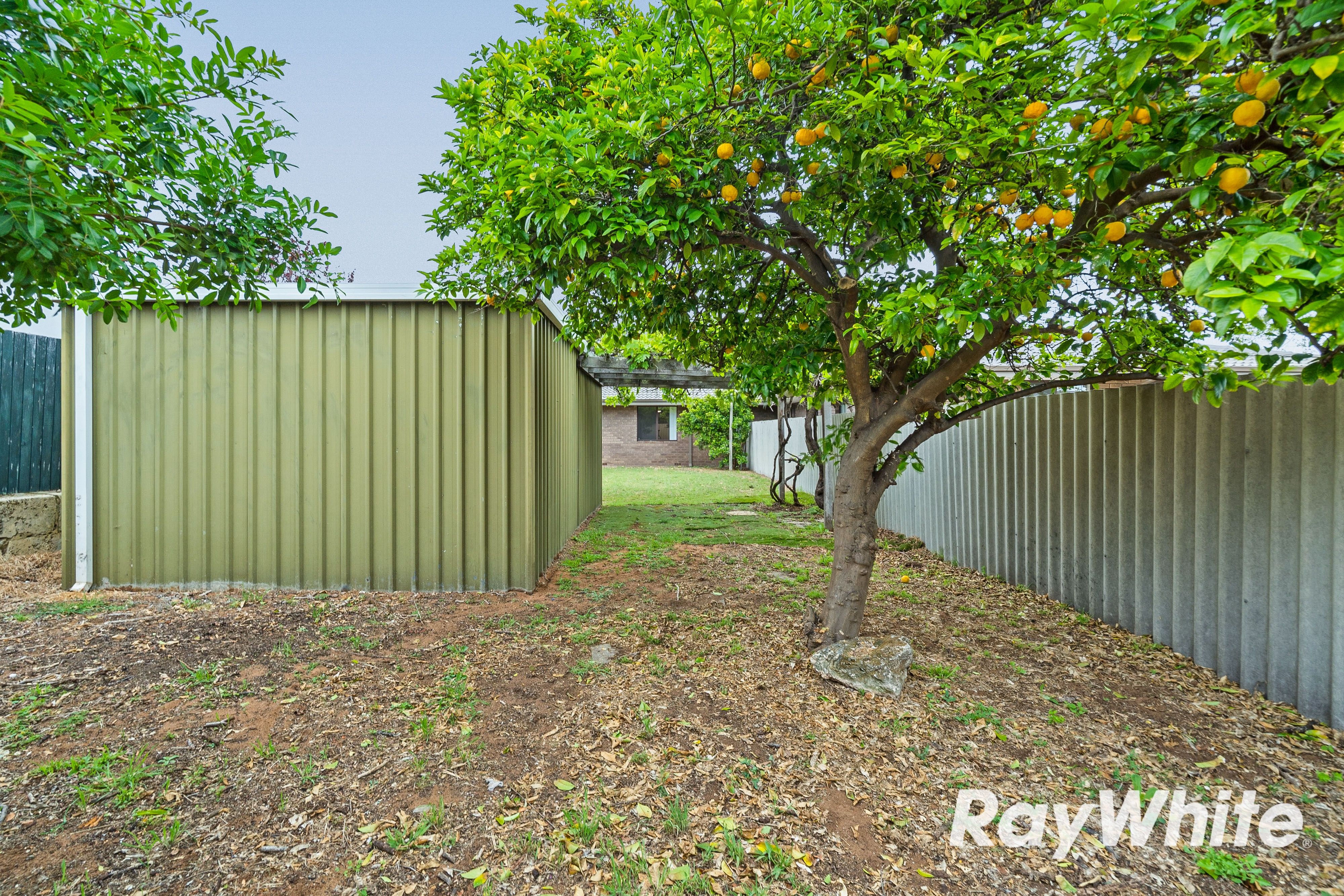 8A Cathryn Street — photo 16 of 23