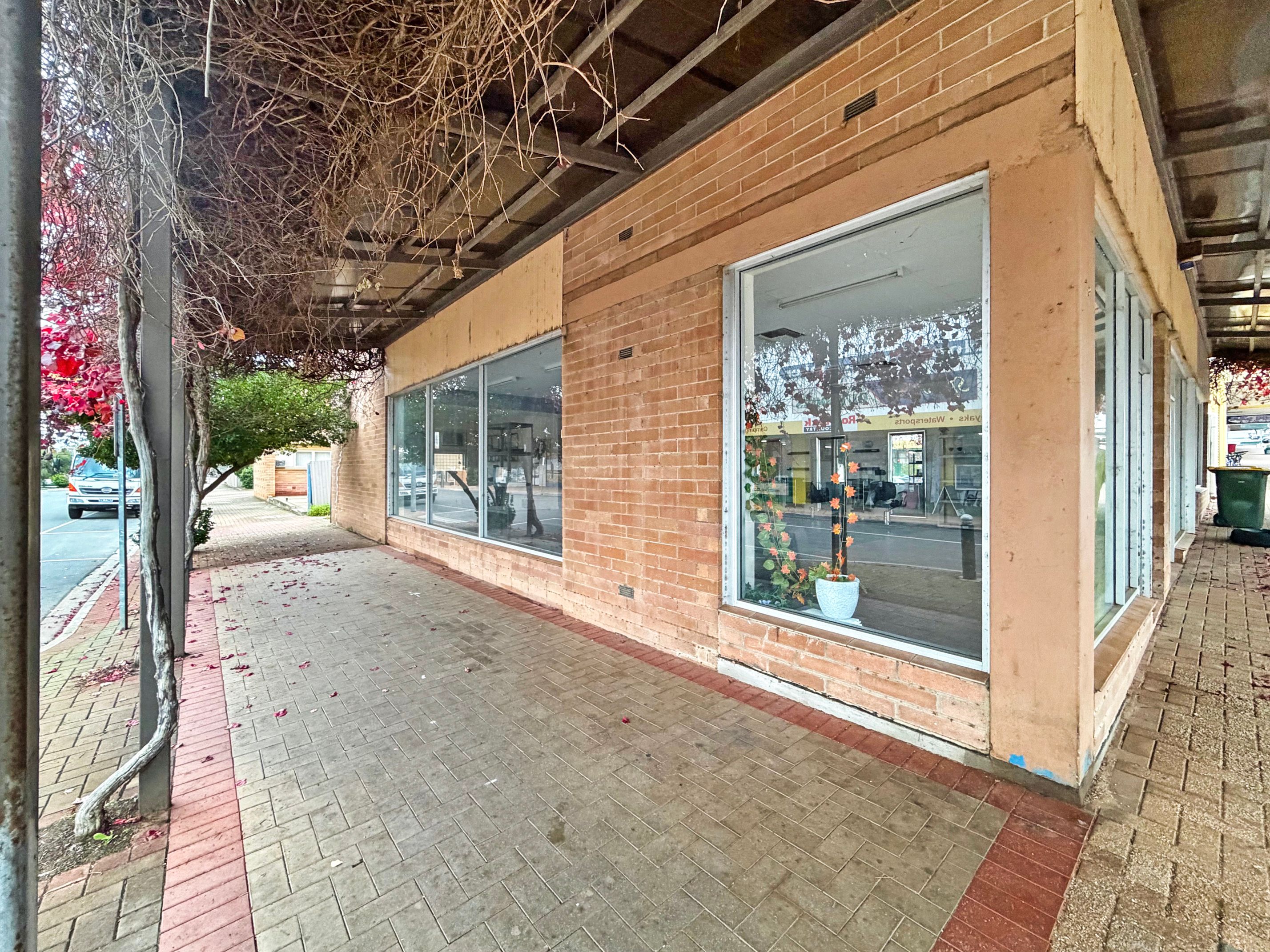 21 William Street, Berri, SA 5343