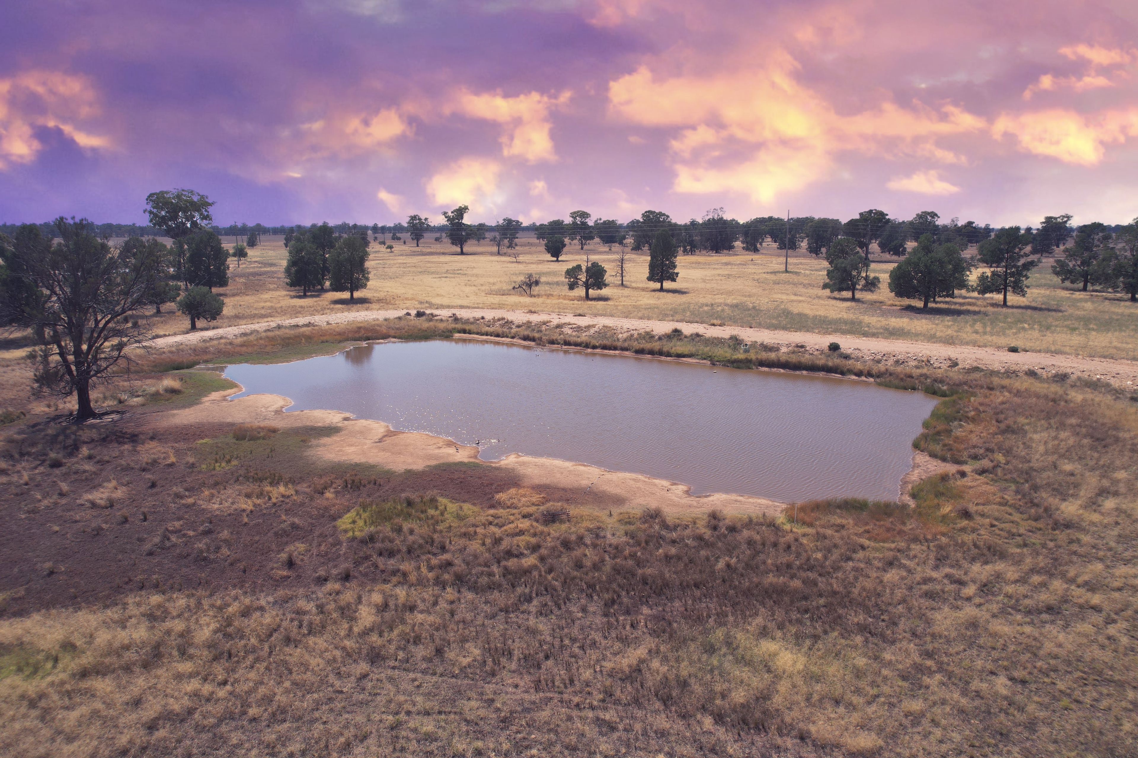 5008 Goldfields Way, Barmedman, NSW 2668