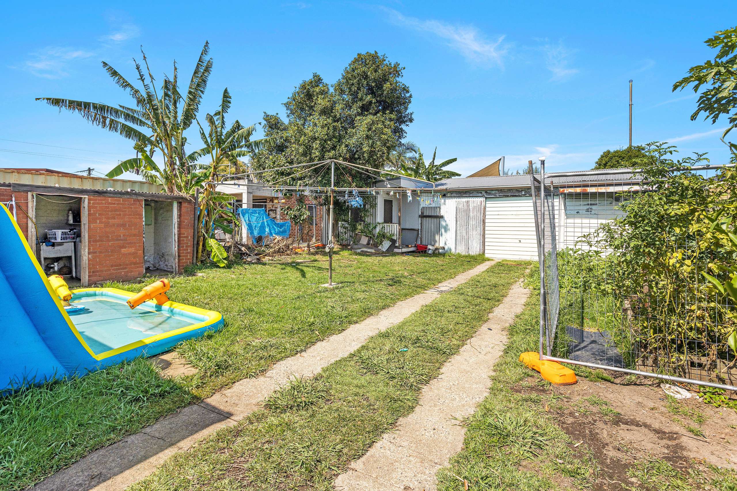 81 Mimosa Street, Bexley, NSW 2207