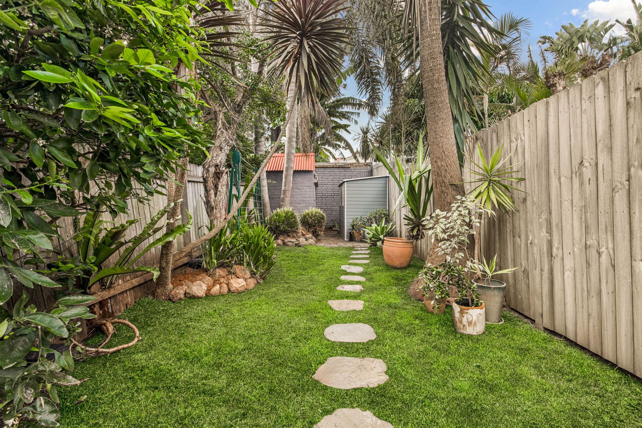 107 Darley Street — photo 3 of 9