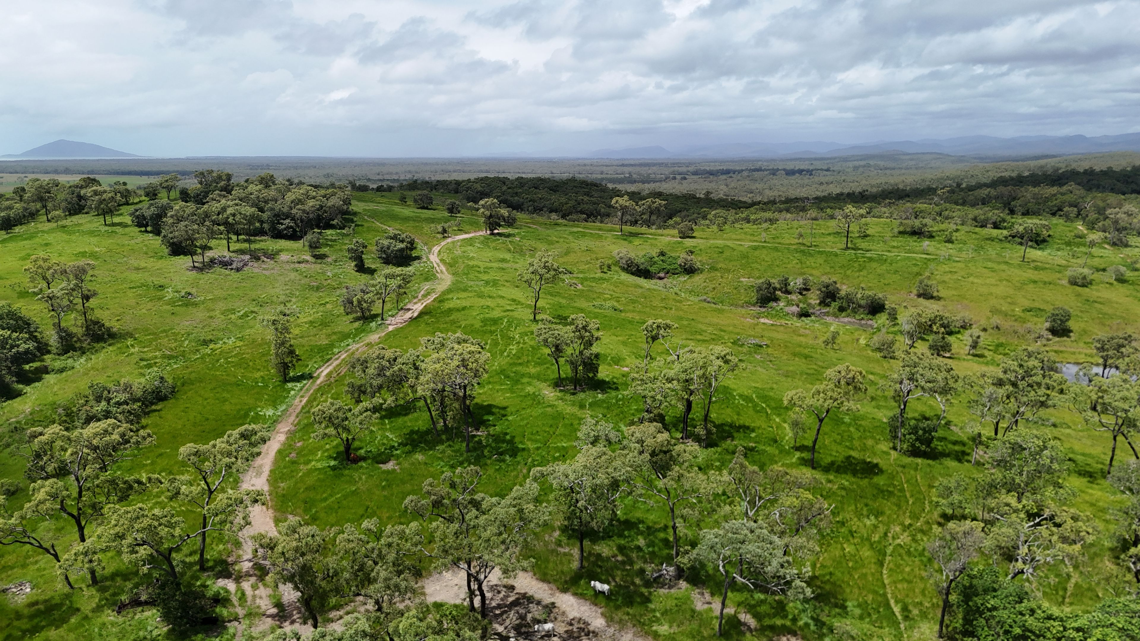 Lot 3 Marion Settlement Road — photo 15 of 15