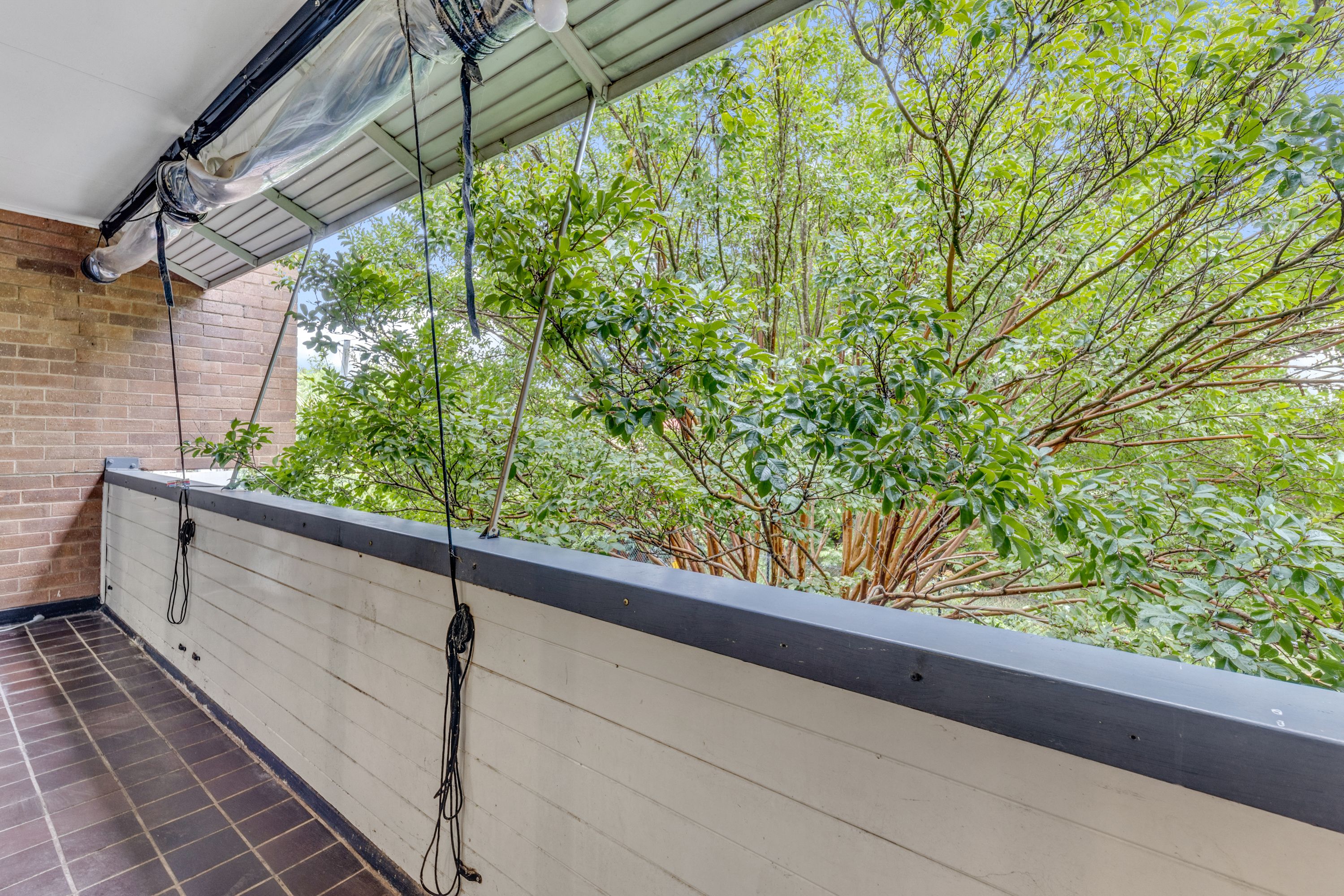 10C/62 Wattle Street — photo 5 of 7