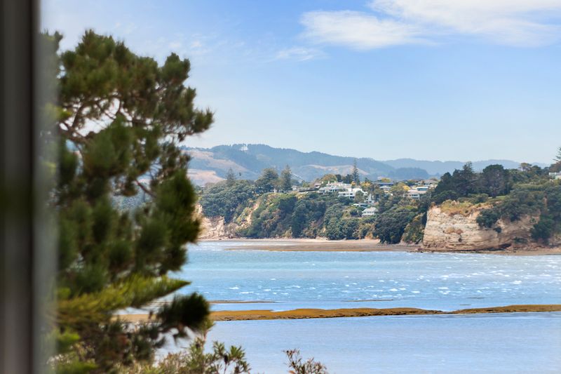 Macleans Gold - Bucklands Beach