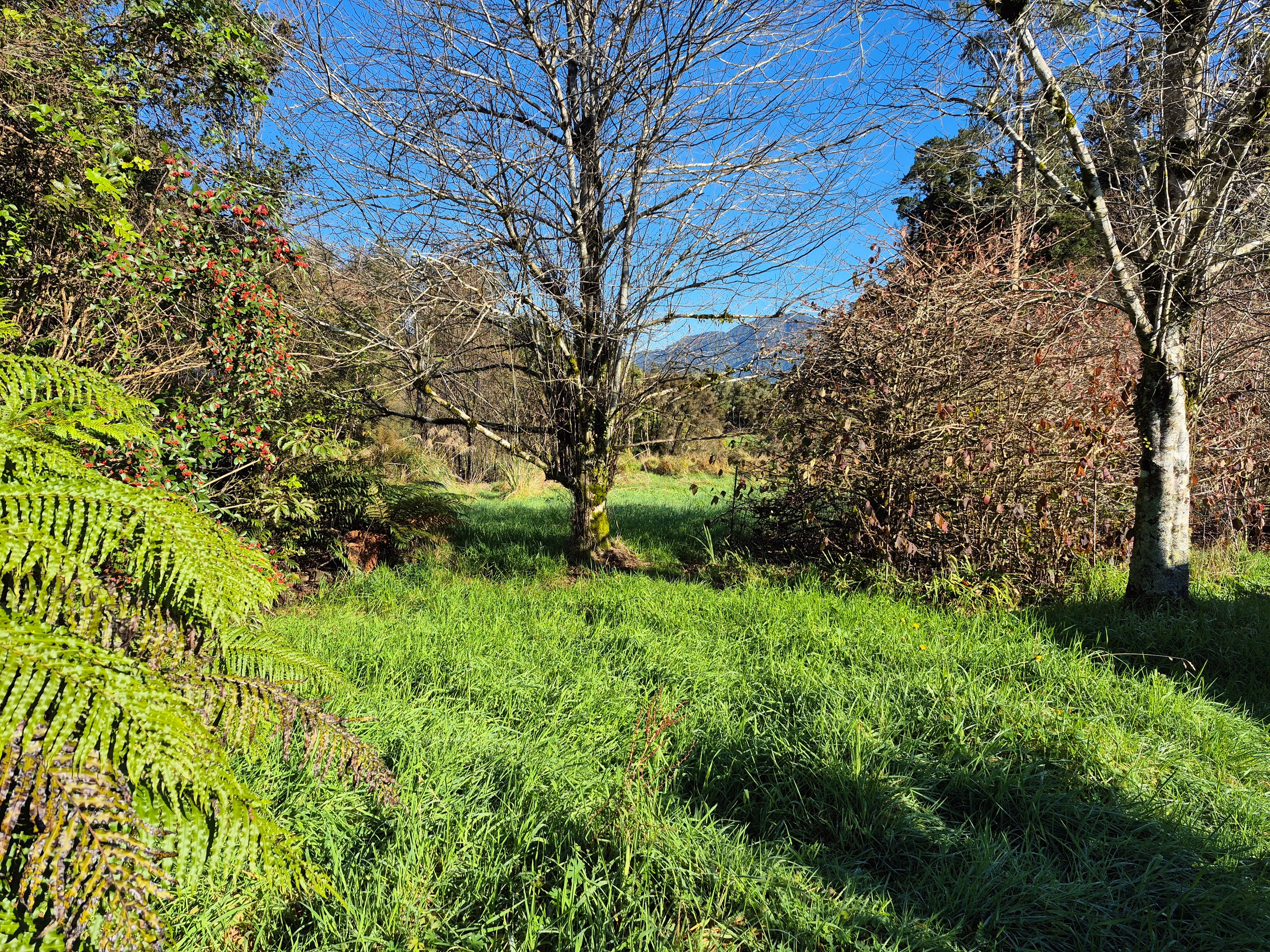 0 State Highway, Franz Josef, Westland District