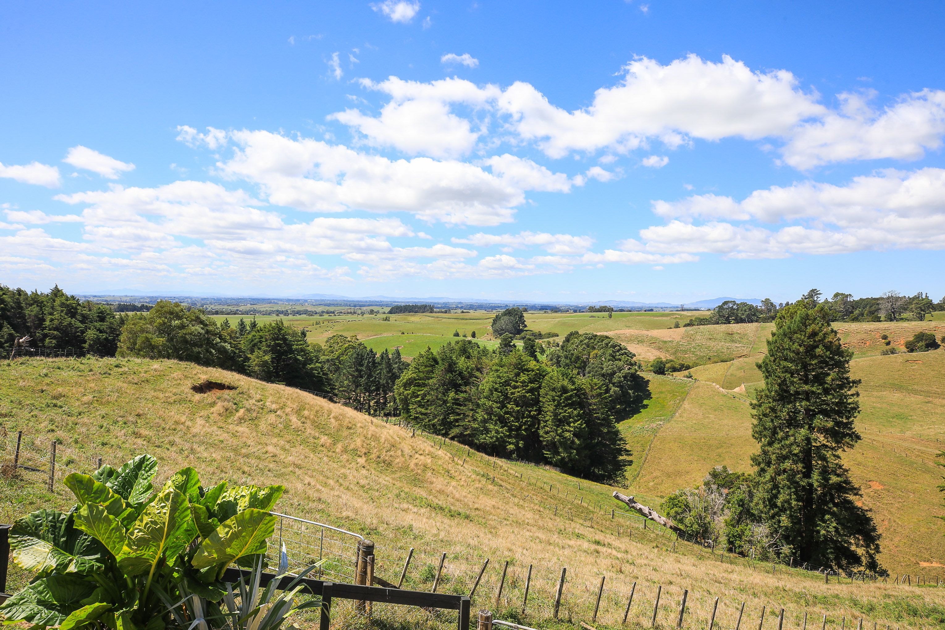 151 Arthur Road, Te Pahu, Waipa District 3285 Rural Finishing