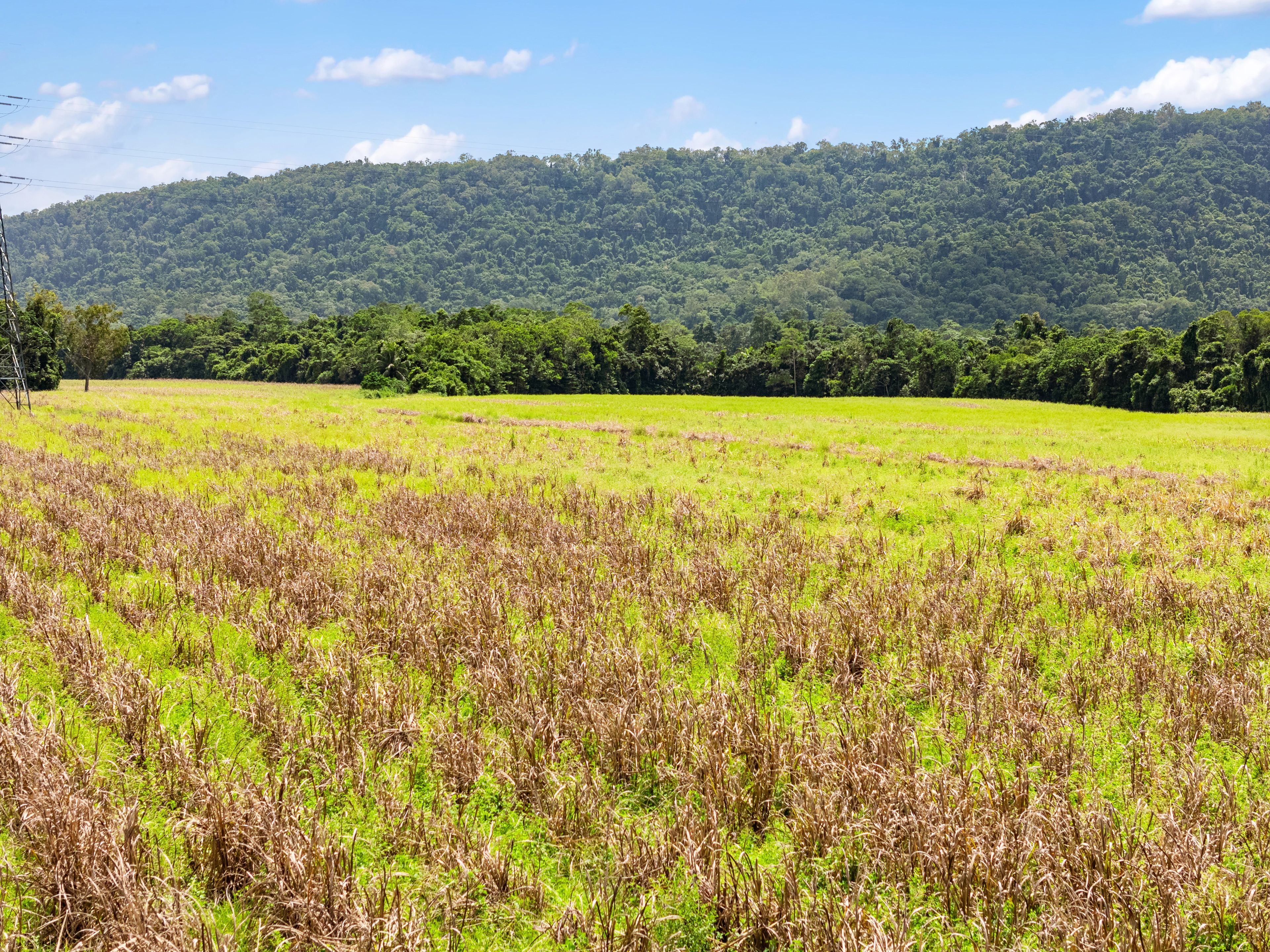 CASSOWARY ESTATE - Affordable lifestyle acreage lots — photo 10 of 23