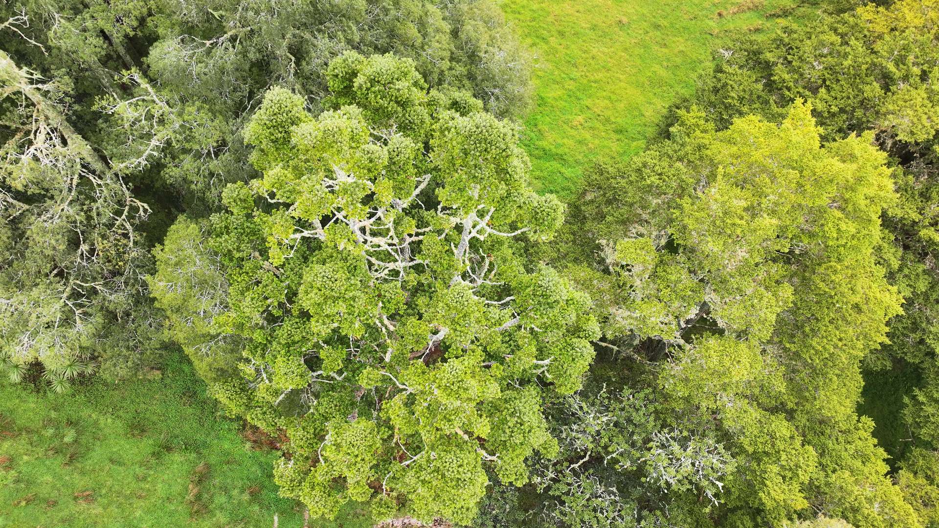 593 Peria Road photo 3