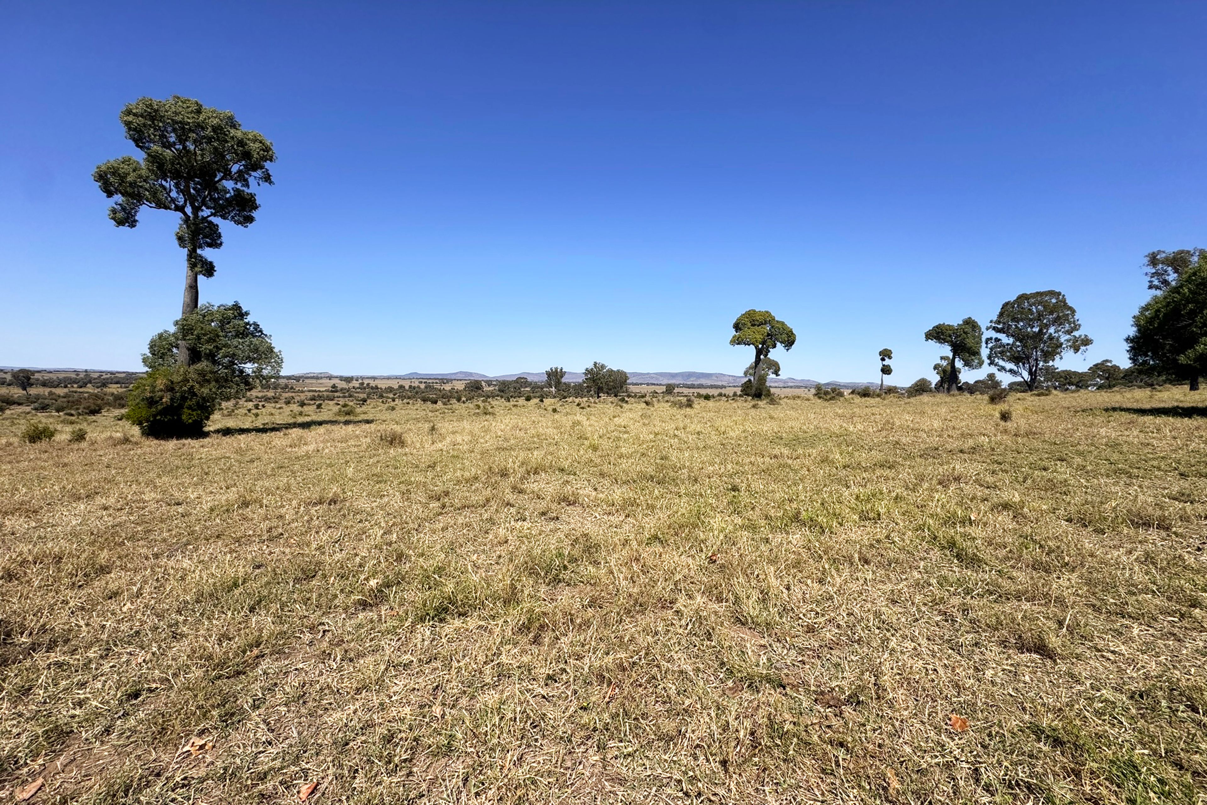 450 Orange Creek Road, Biloela, QLD 4715