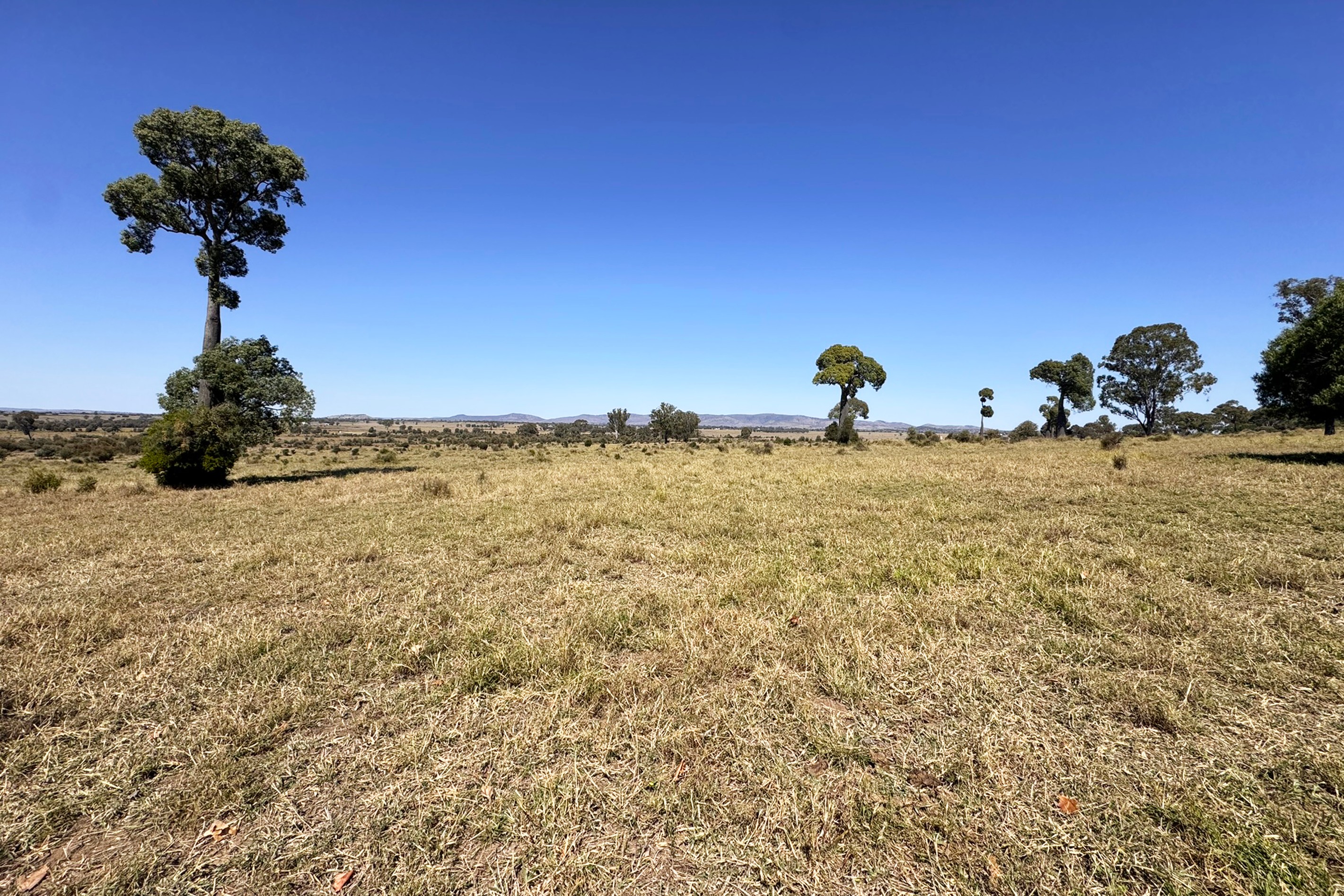 450 Orange Creek Road, Biloela, QLD 4715