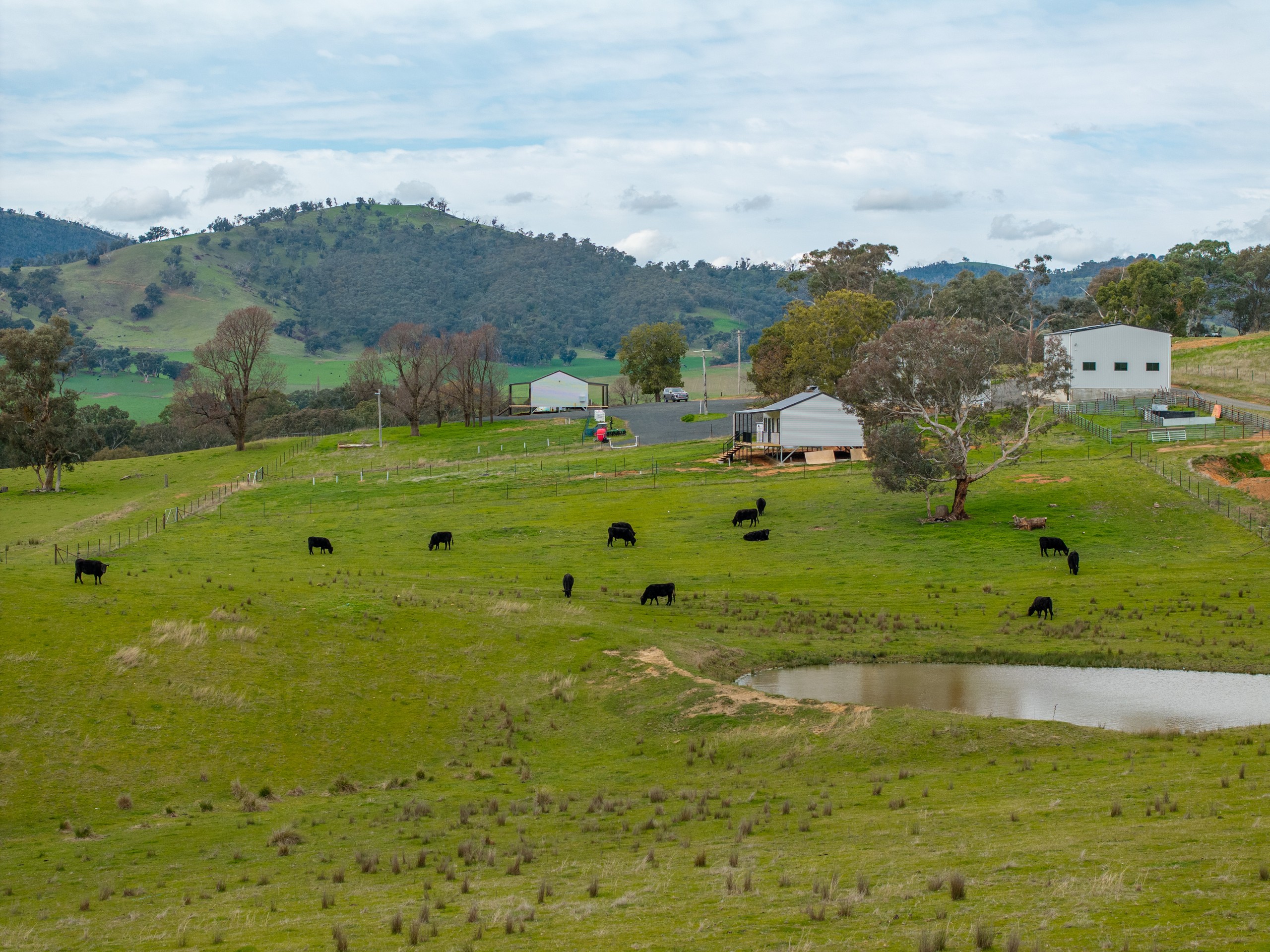 2543 Westbrook Road, Oberne Creek, NSW 2650