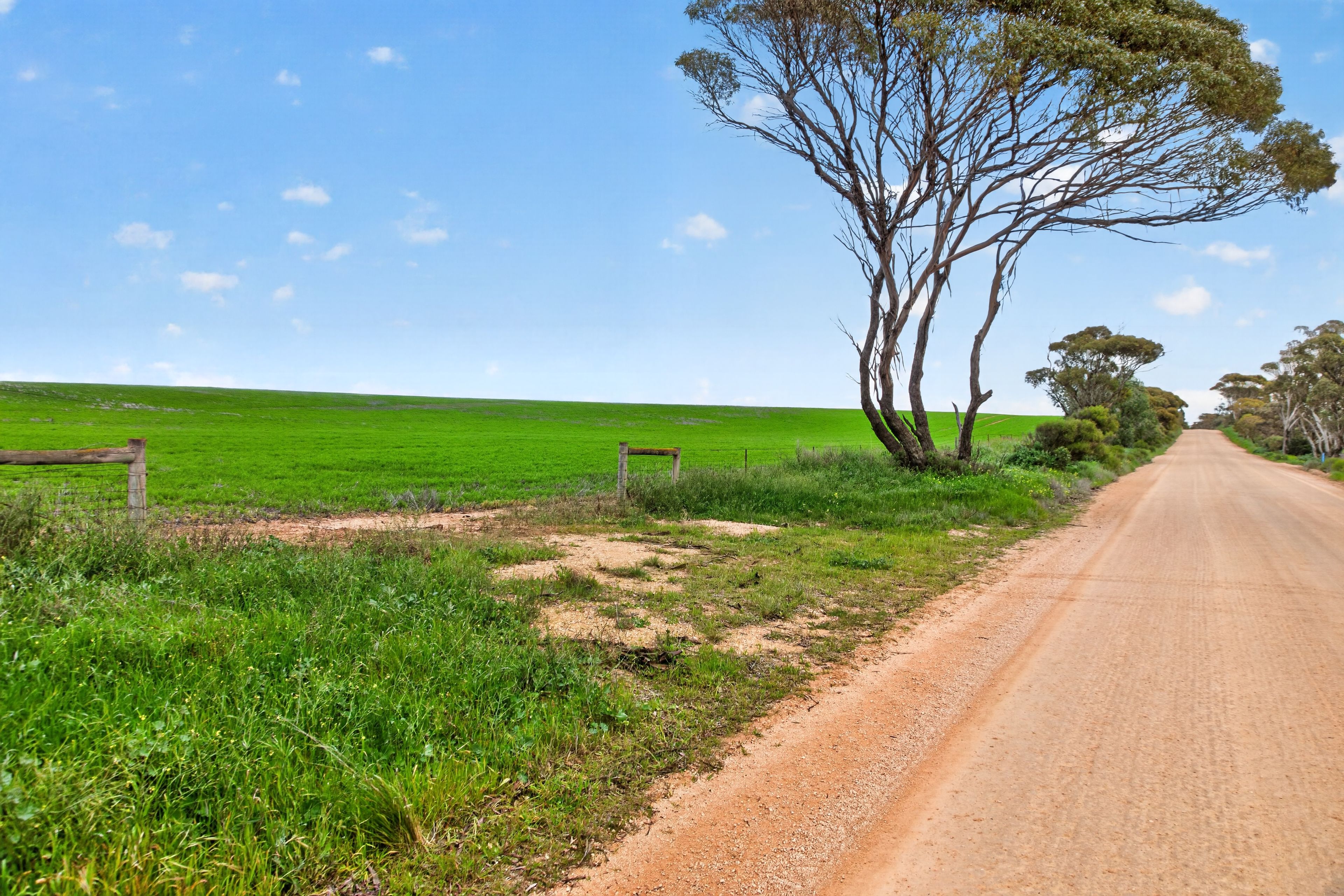 'Shepherds' Thomas Plains Road — photo 6 of 12