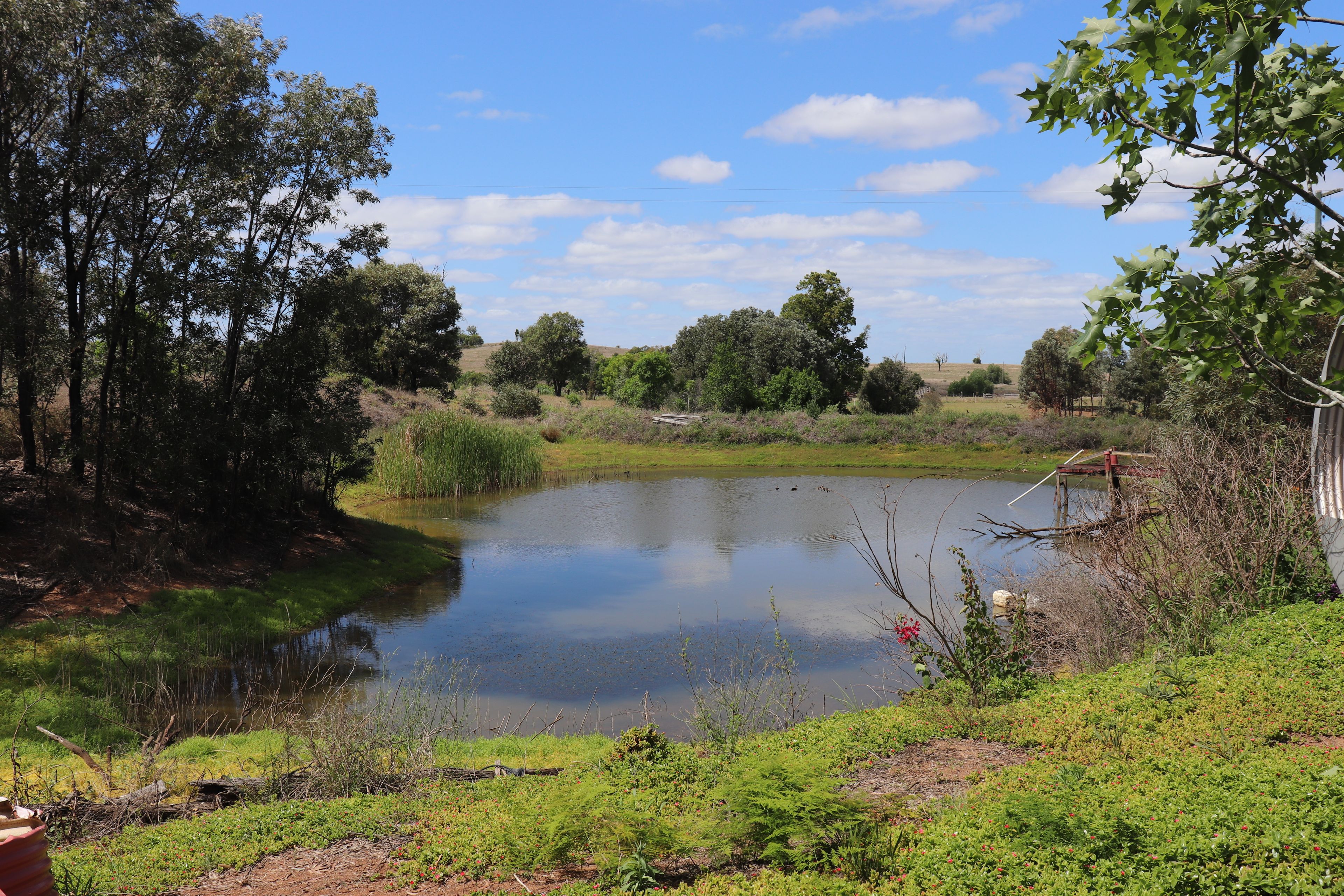 464 Bald Hills-Norris Corner Road, Mundubbera, QLD 4626