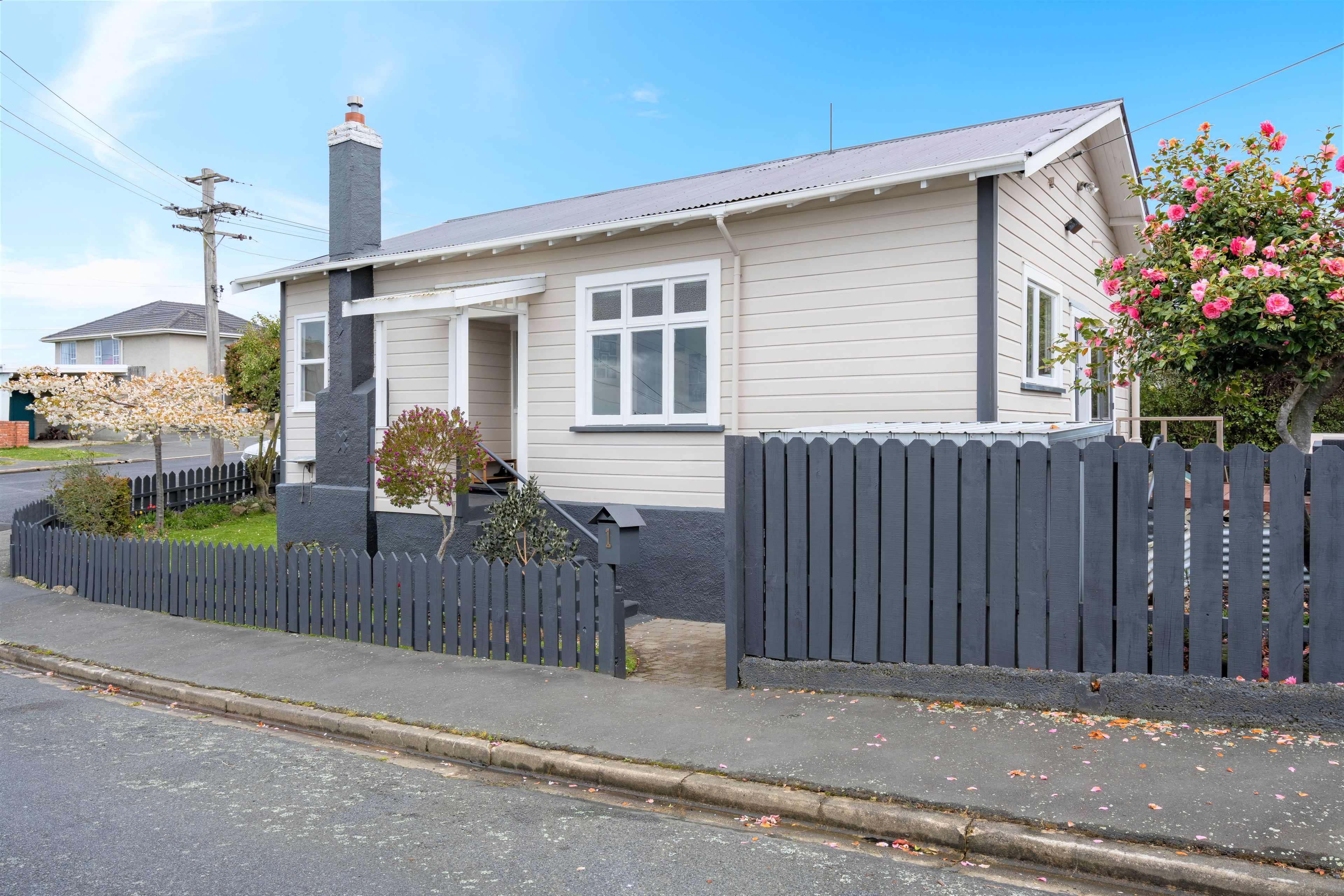 1 Renfrew Street, Balaclava, Dunedin City 9011 Sold House Ray White