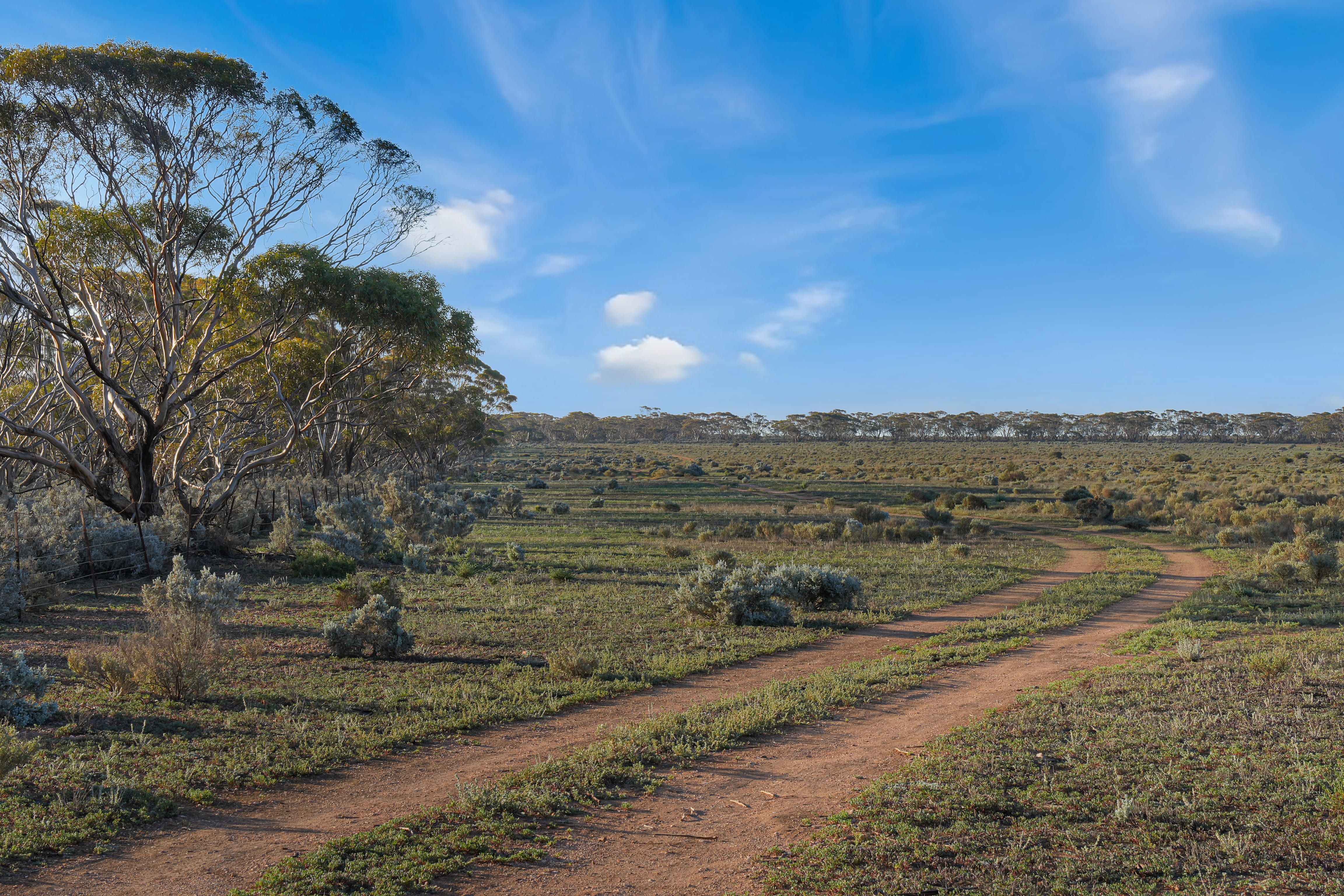 Lot 53 Mallee Road — photo 15 of 23
