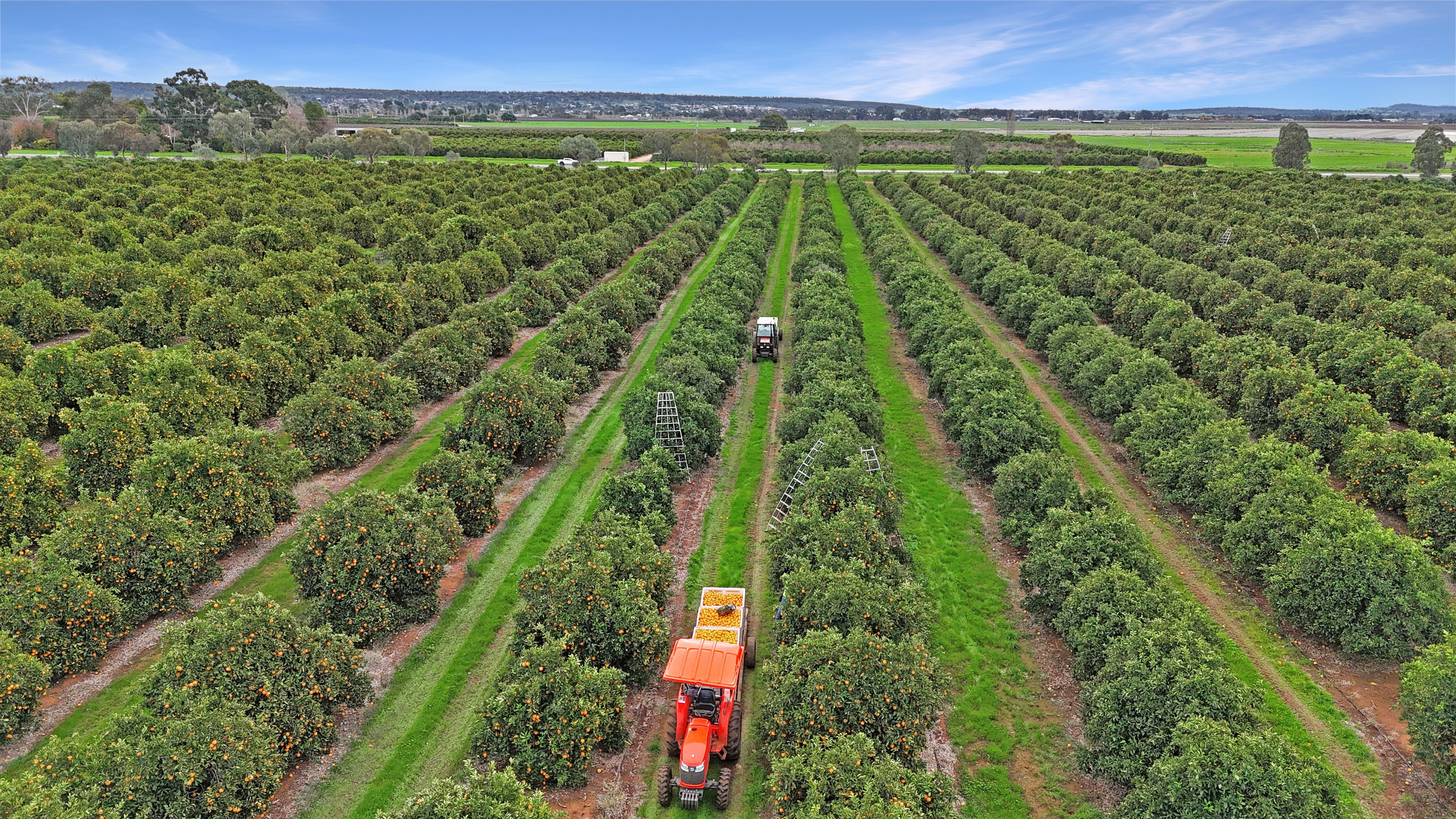 Farm 253/29 Ross Road — photo 18 of 29