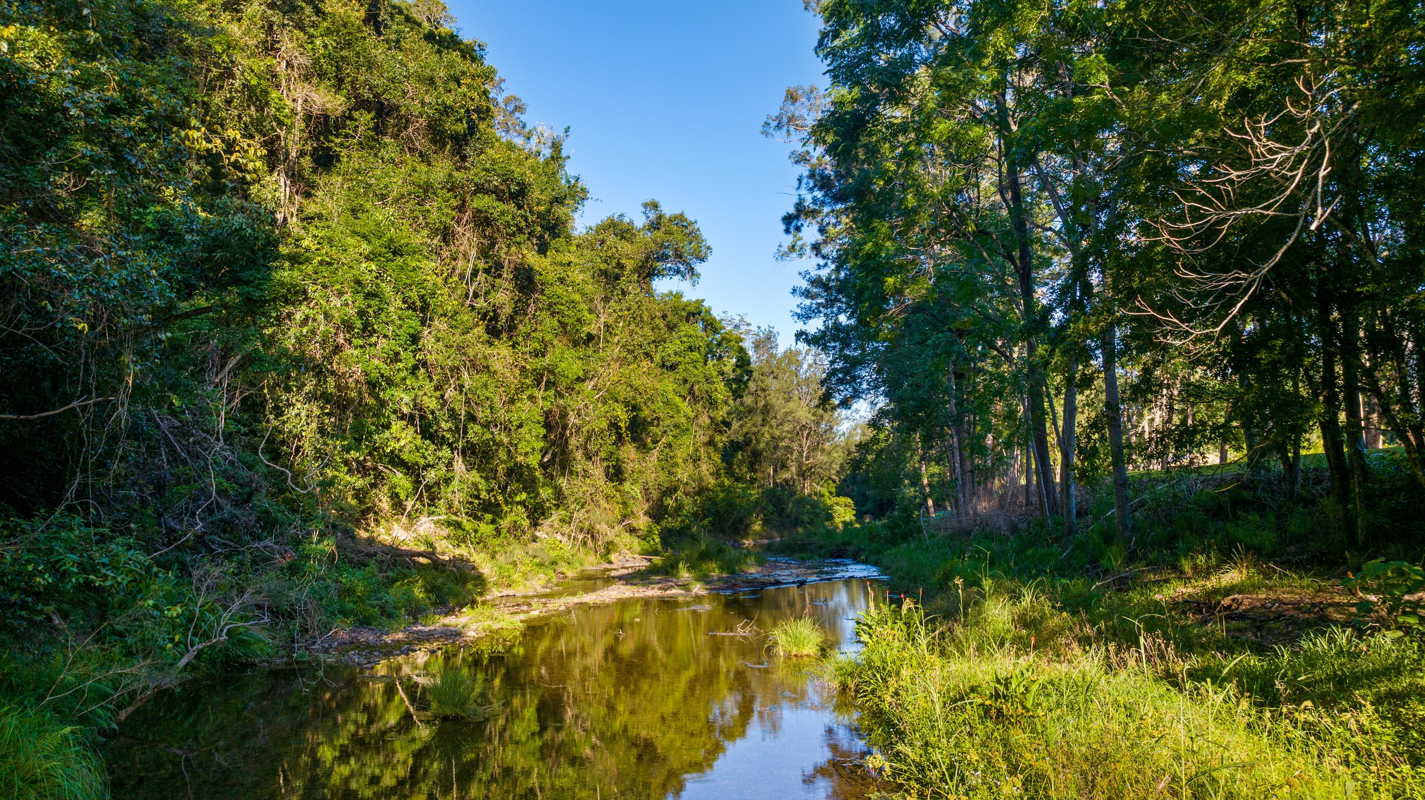 282 Booloumba Creek Road, Cambroon, QLD 4552