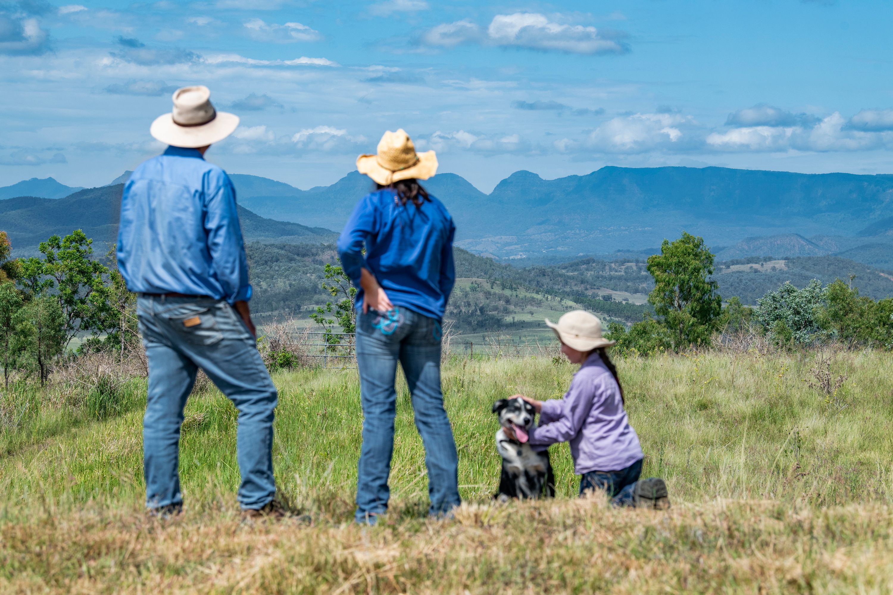 "Sherana" 153 Schneider Road, Rosevale, QLD 4340 Sold Rural
