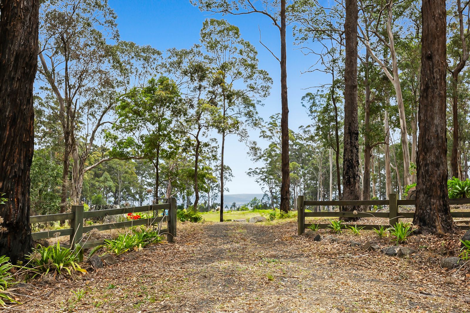 905J Main Western Road, Tamborine Mountain, QLD 4272