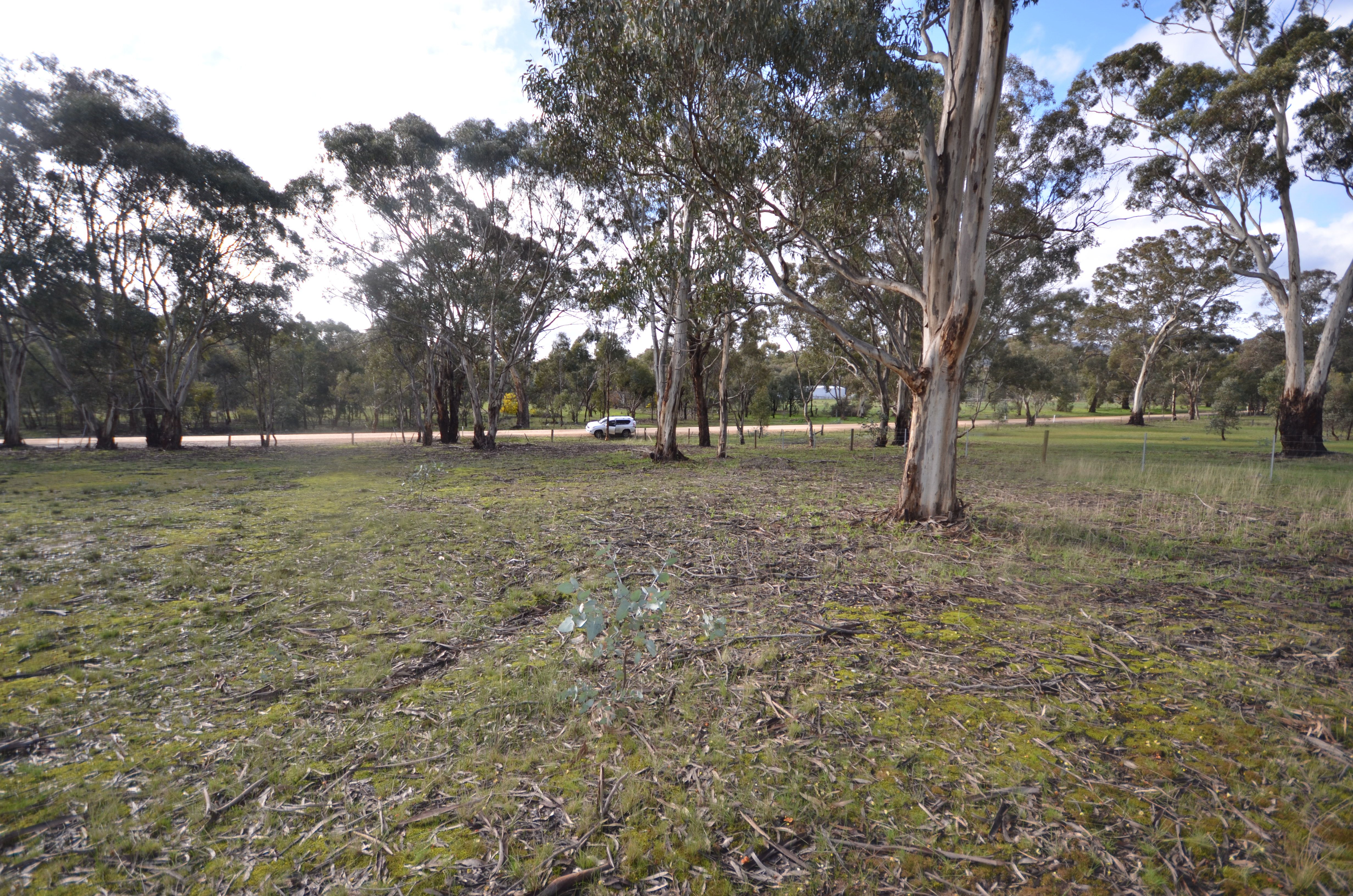 CA 1 Redbank-Barkly Road, Barkly, VIC 3384