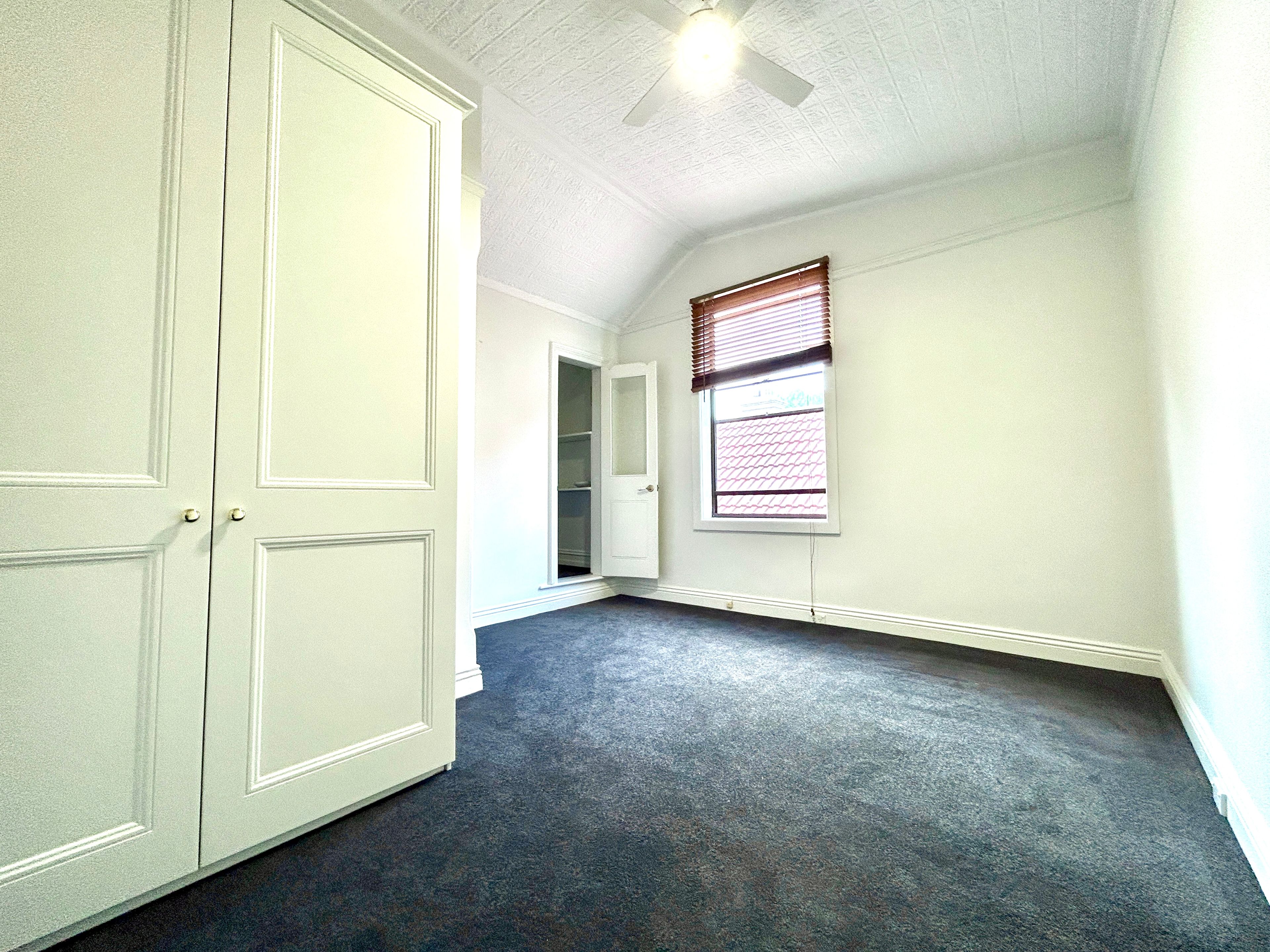 225 Trafalgar Street, Annandale, NSW 2038