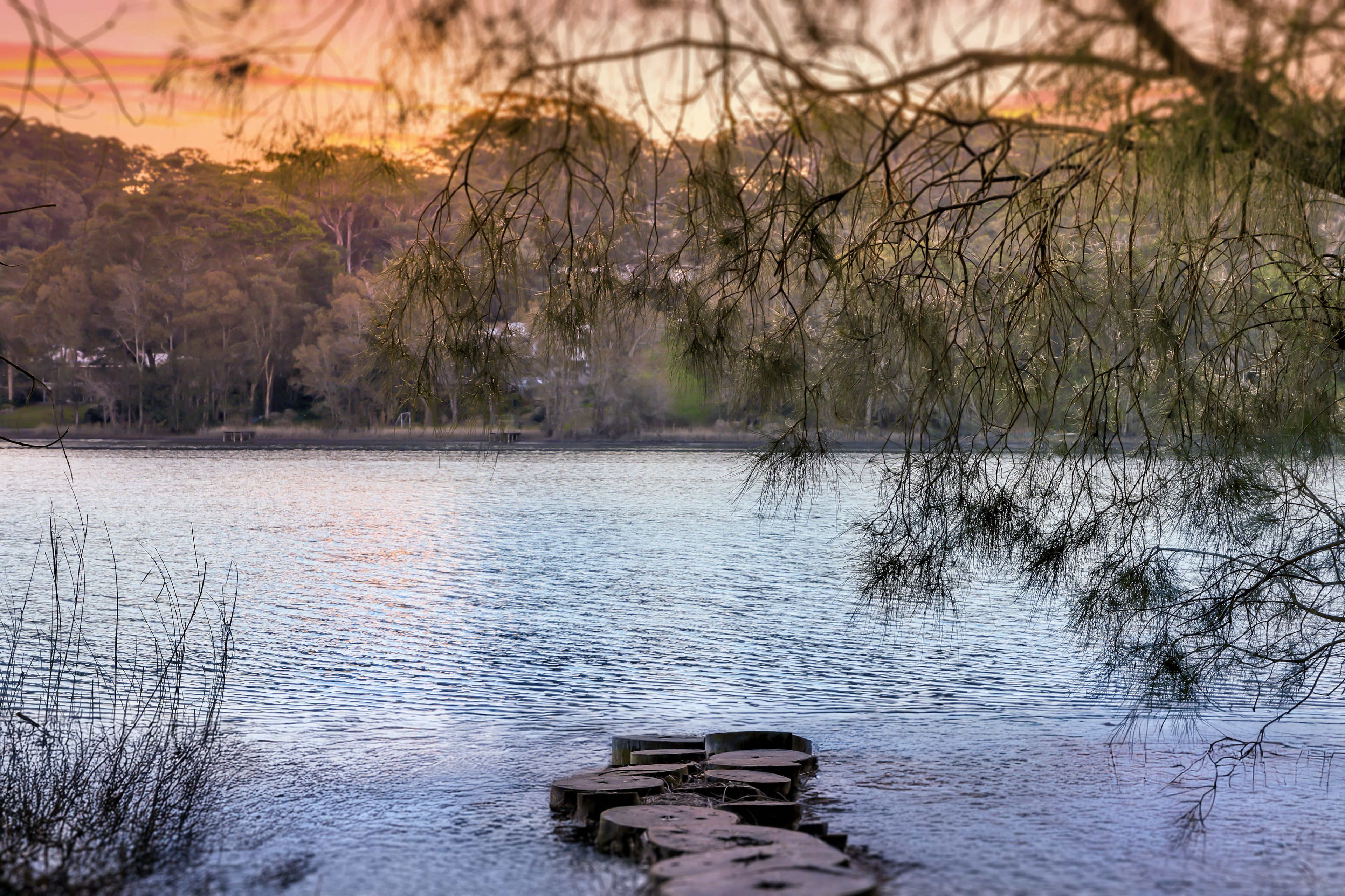 57A The Round Drive, Avoca Beach, NSW 2251