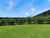 565 Kerikeri Road photo 10