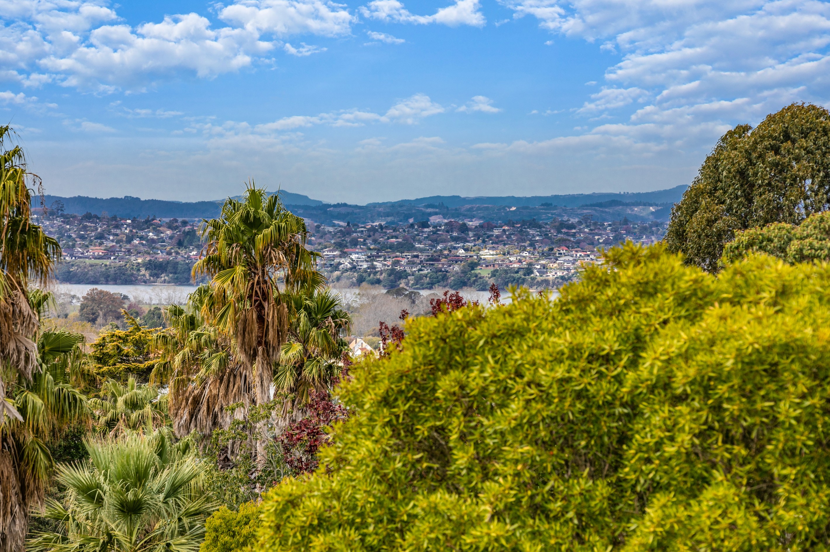 3/21 Simkin Avenue, St Johns, Auckland City