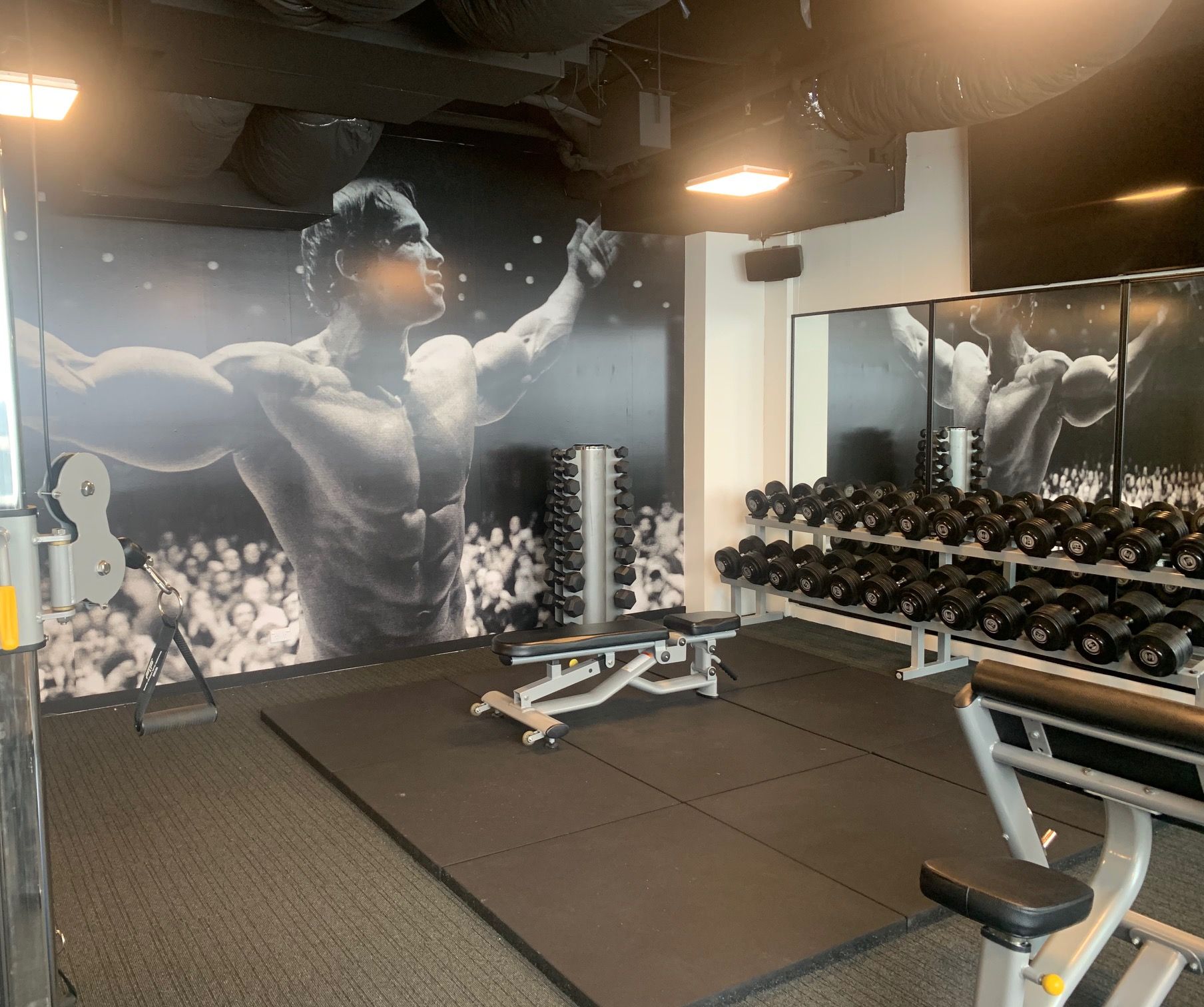 Bondi Junction, NSW 2022