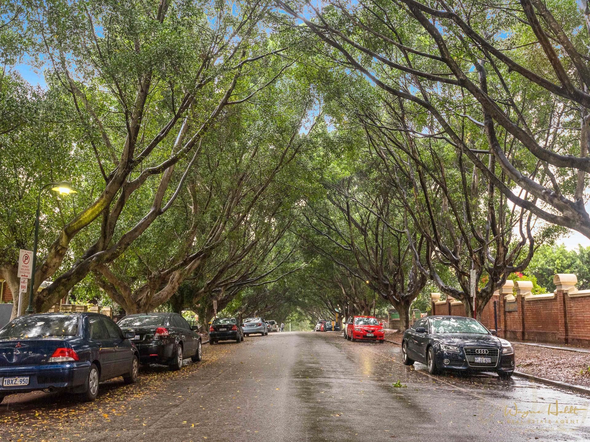31 Mary Street, Highgate, WA 6003