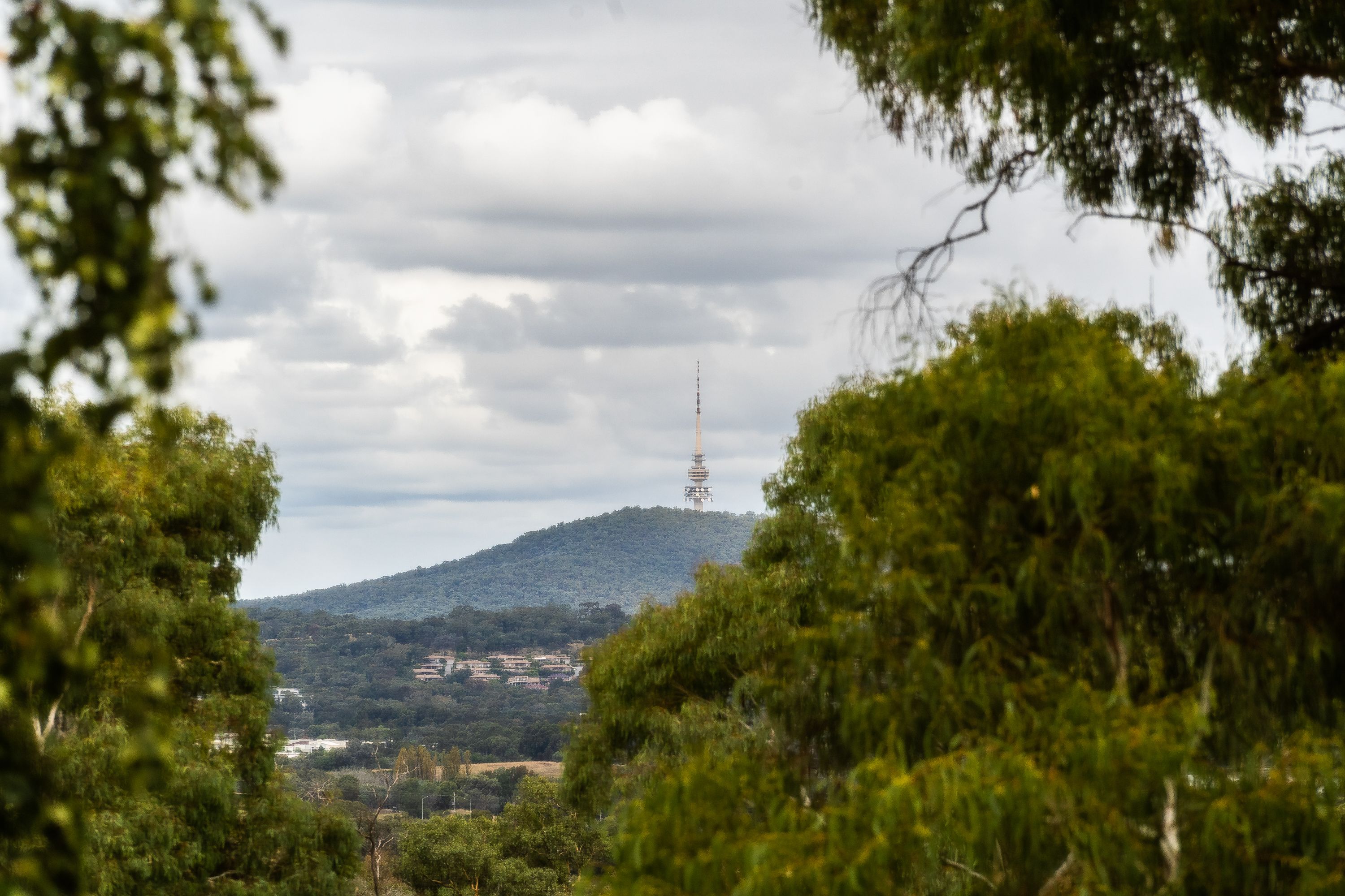 133 Kingsford Smith Drive, Melba, ACT 2615