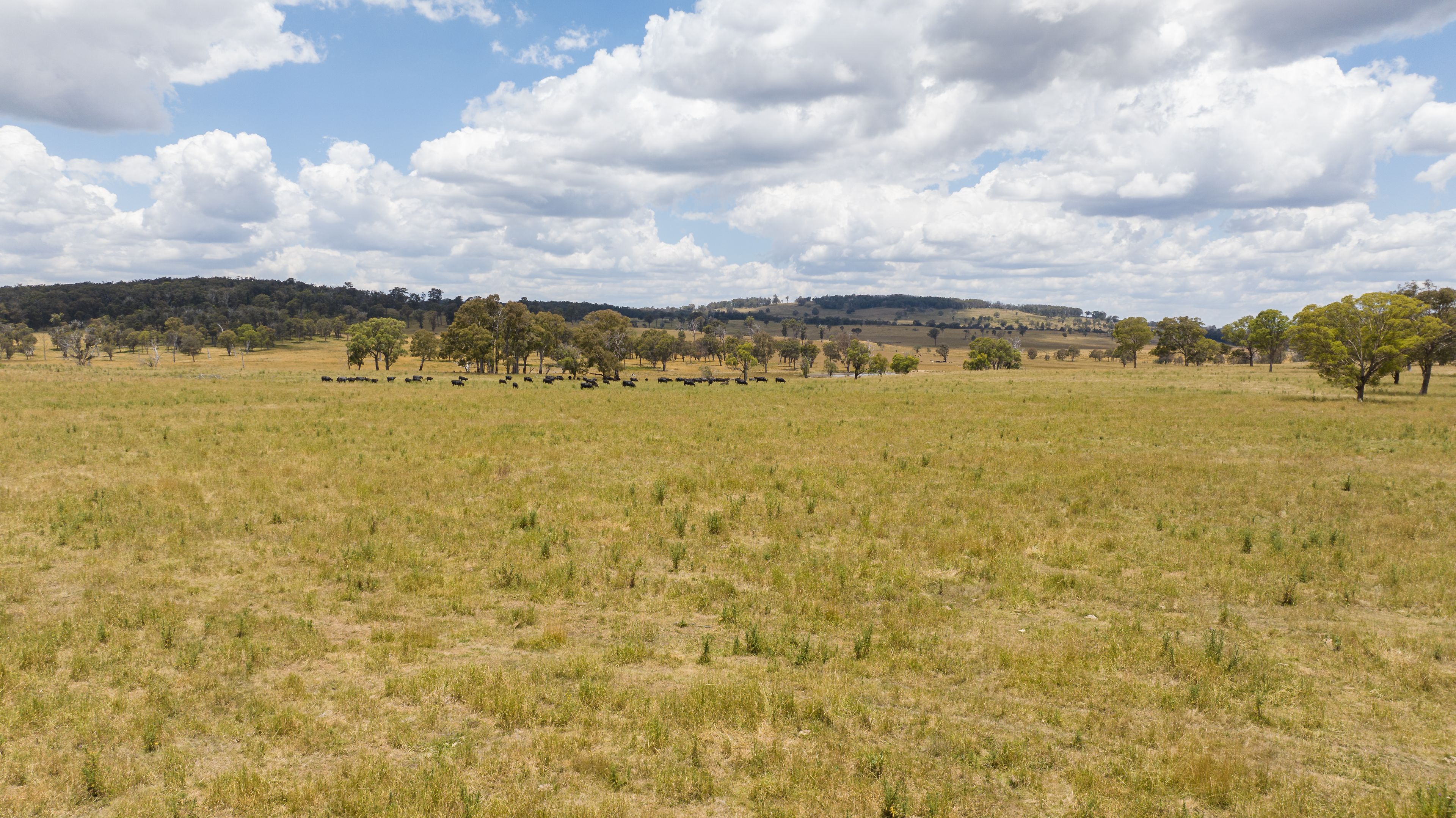 "Park View" 1590 Old Armidale Road, Guyra, NSW 2365 Sold Rural