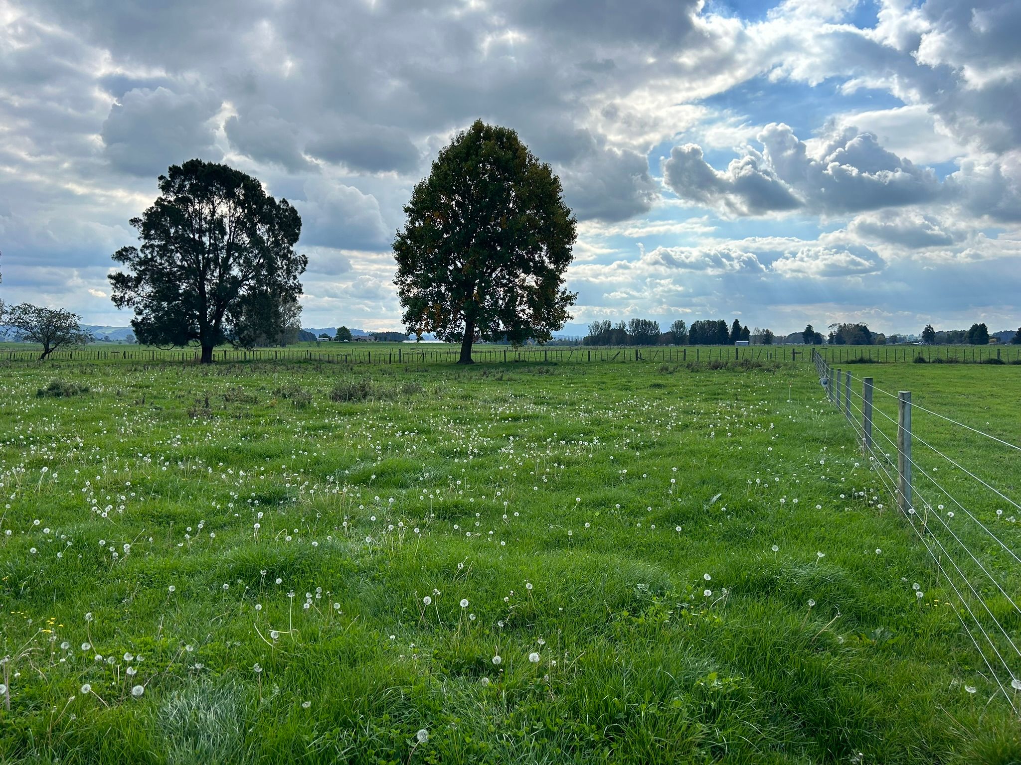 576C Mangawhero Road, Otorohanga, Otorohanga District