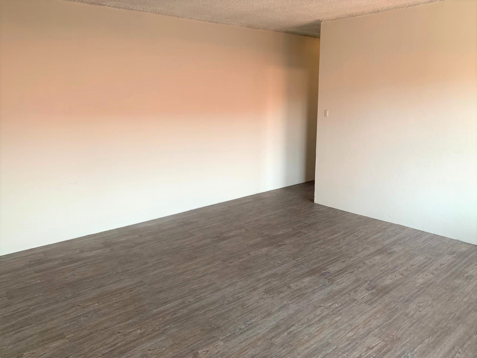 12/353 New Canterbury Road, Lewisham, NSW 2049